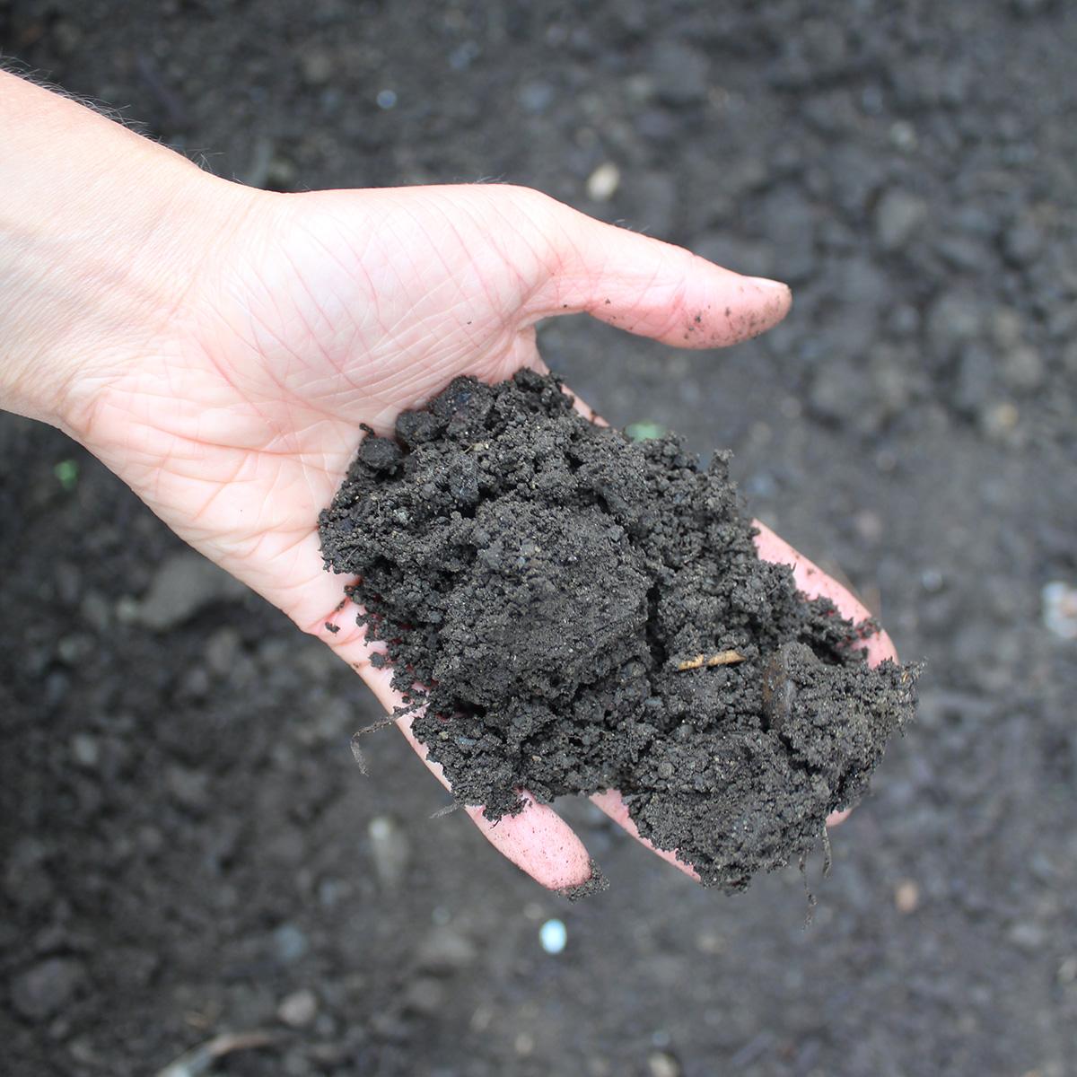 vermicompost