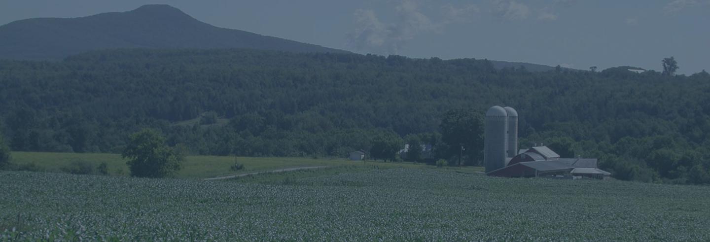 farm crop field