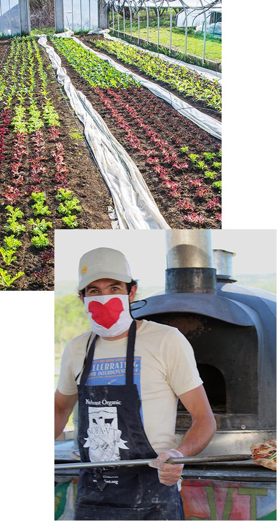 man with mask with heart holding tray of food and a greenhouse