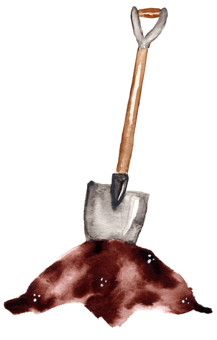 Watercolor of a shovel standing up in a pile of dirt.