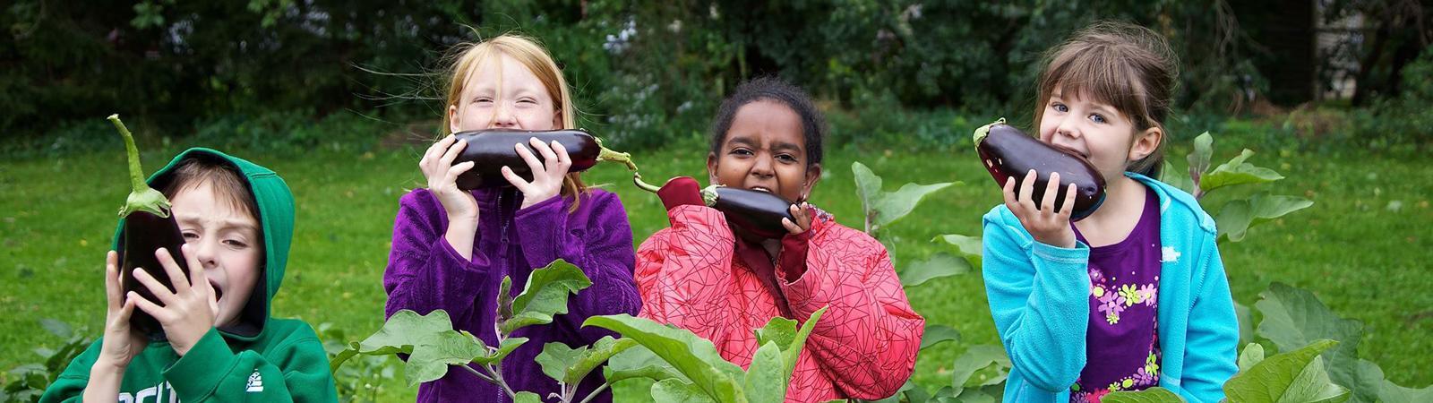 Four kids stand in a garden, pretending to bite down onto eggplants.