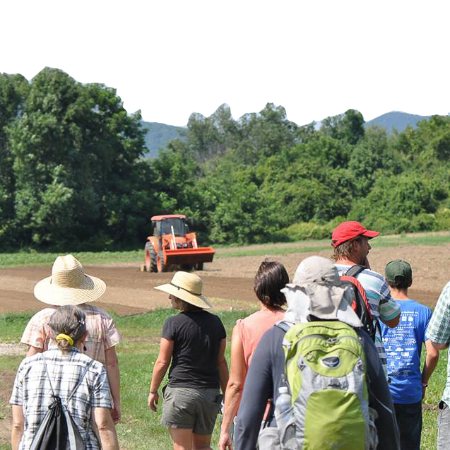 A group of people stand facing away from the camera, looking out at a field with a tractor in it.