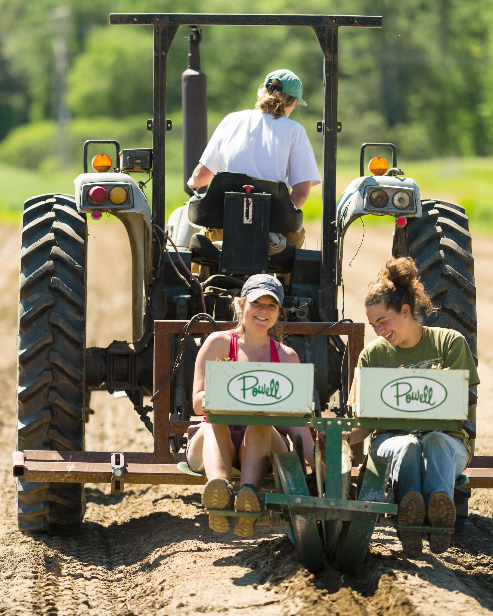 One person drives a tractor while two other people sit behind it and sow seeds.