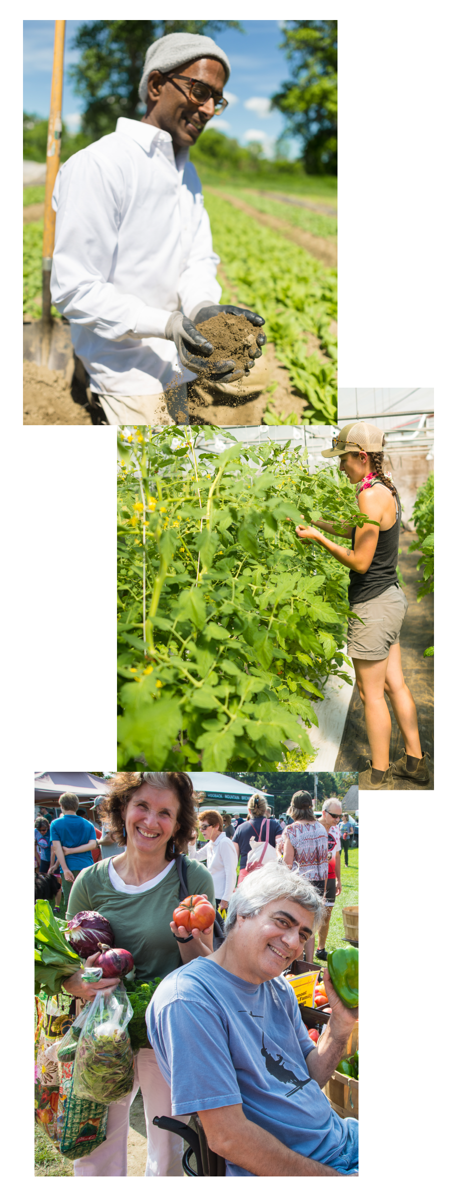 Photo collage of farmers and market attendees