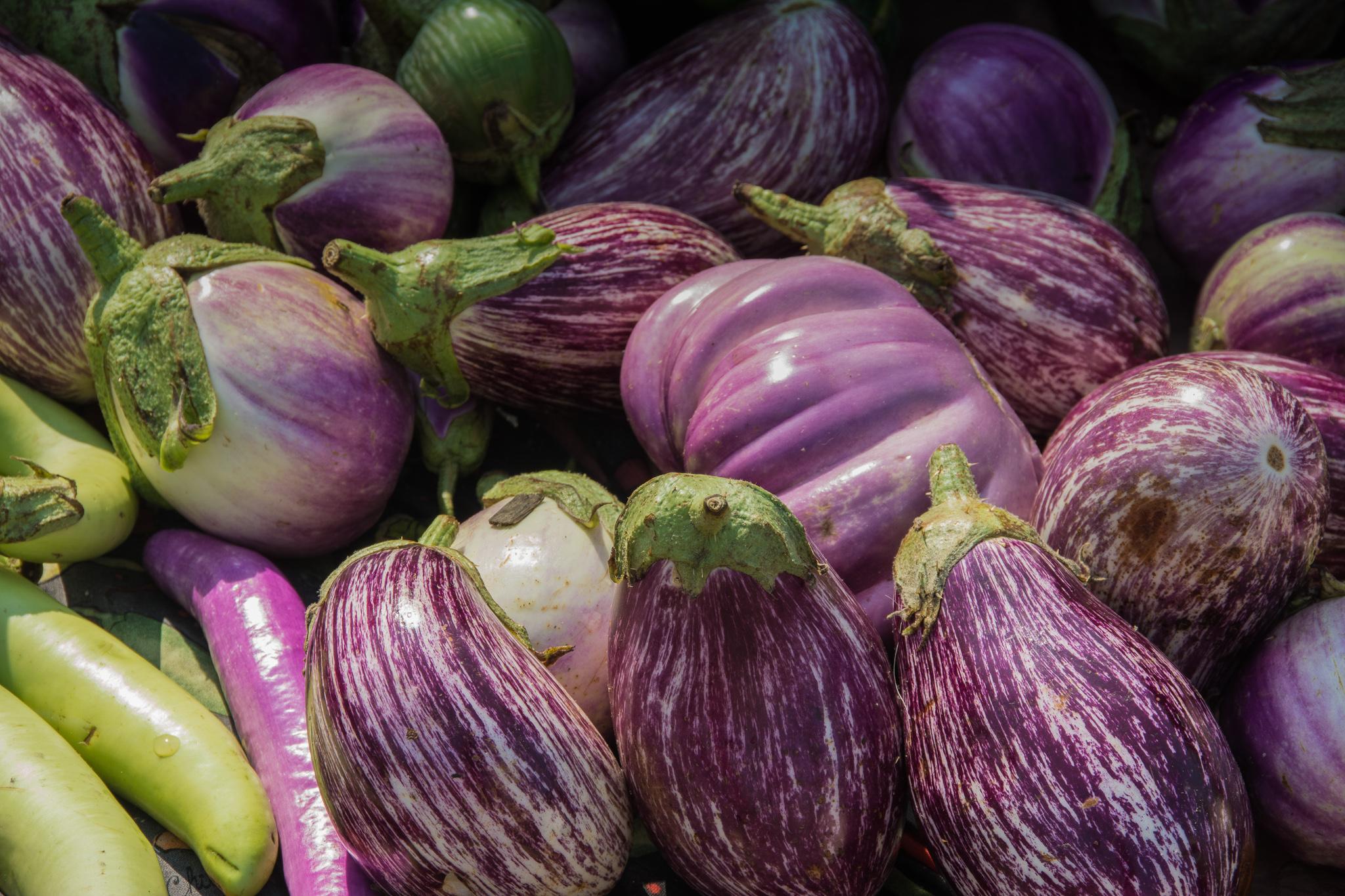 Eggplants of different varieties sit in a pile.