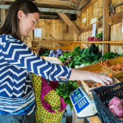 A person shops at a farm stand