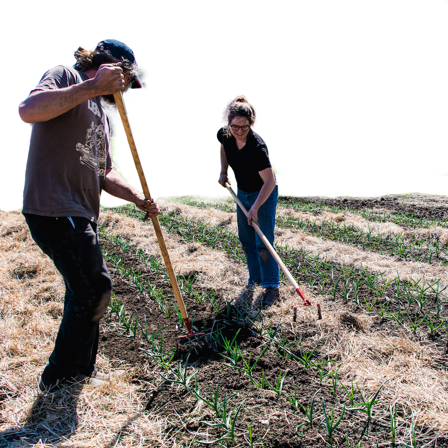 Farmers raking and smiling.