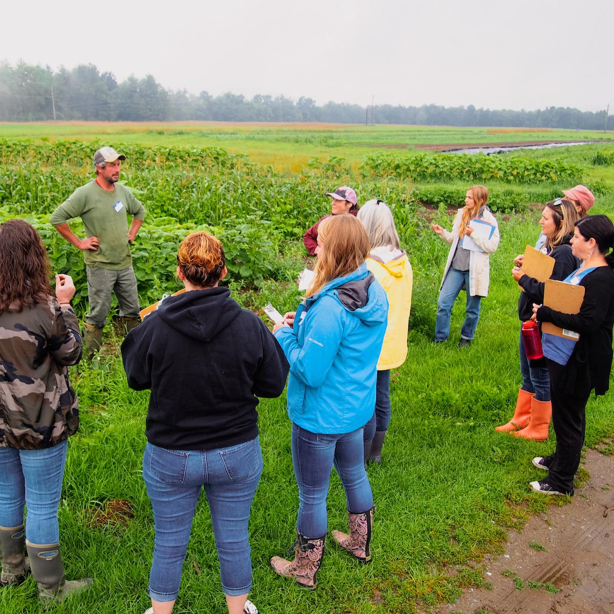 School nutrition professionals talk with a farmer out in a field.