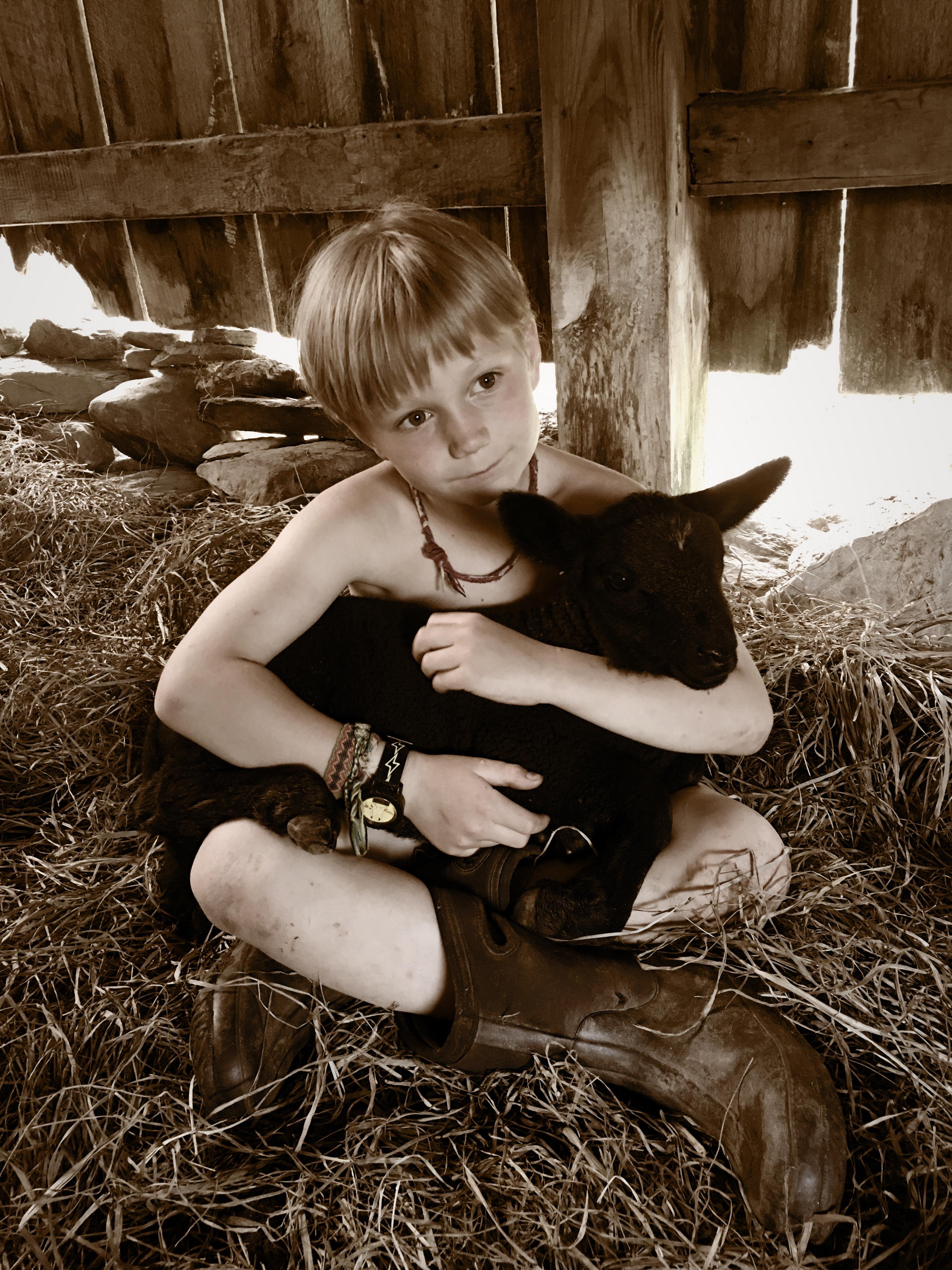 A child hugs a small goat.