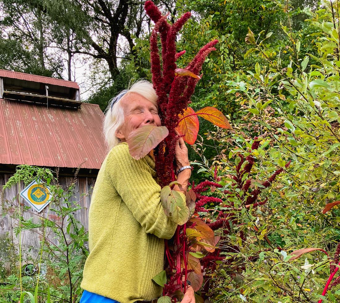 Scout hugs a plant