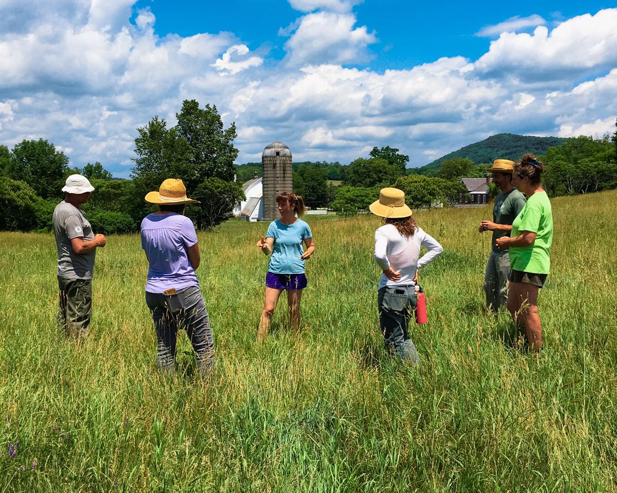 Six farmers stand in a circle in a grassy pasture, talking