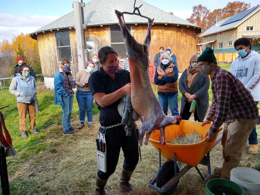 Lamb Processing