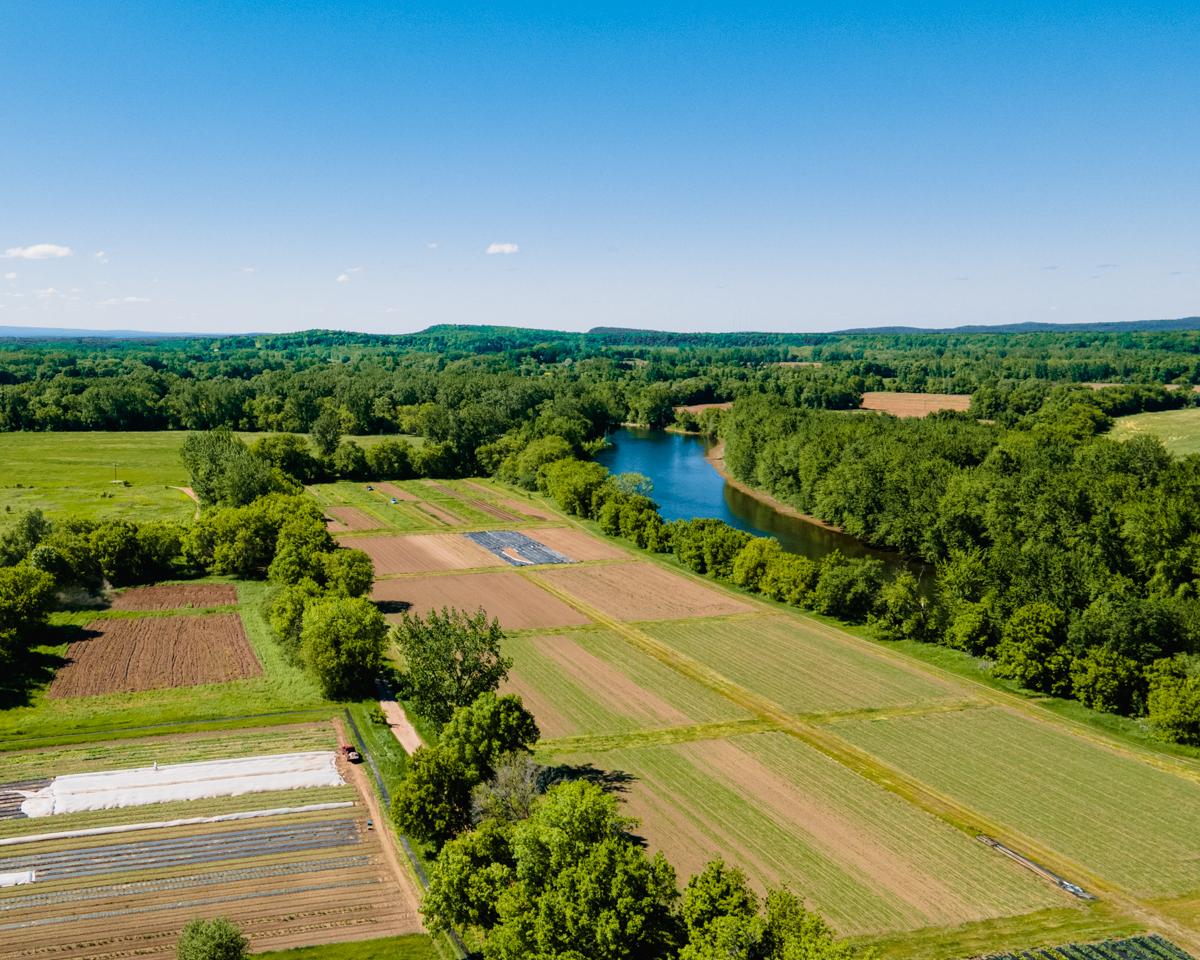 Field