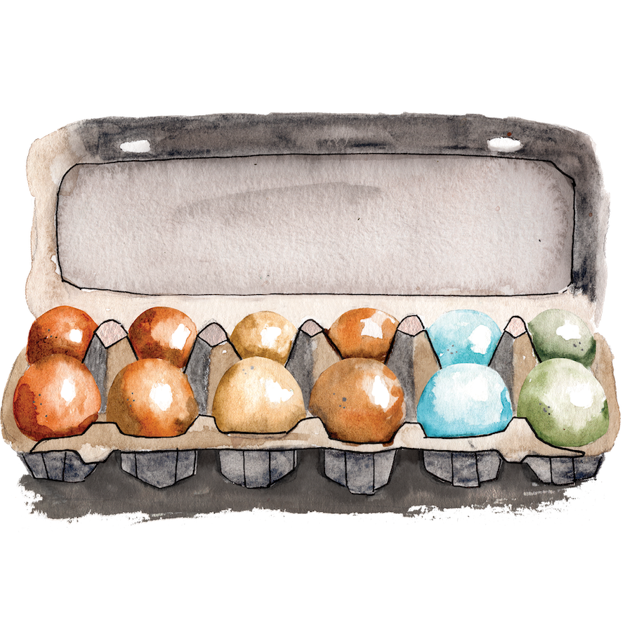 Watercolor of eggs