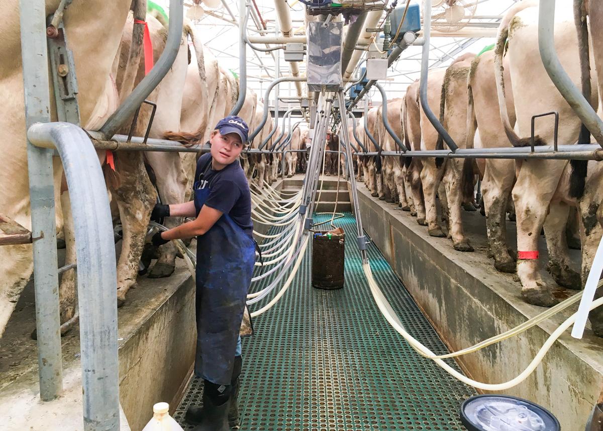 Milking parlor