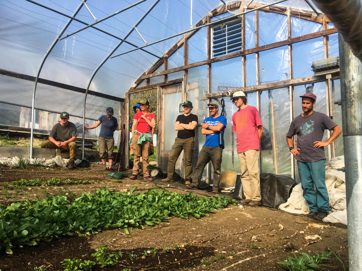 Seven people stand in a greehouse, listening to someone out of frame
