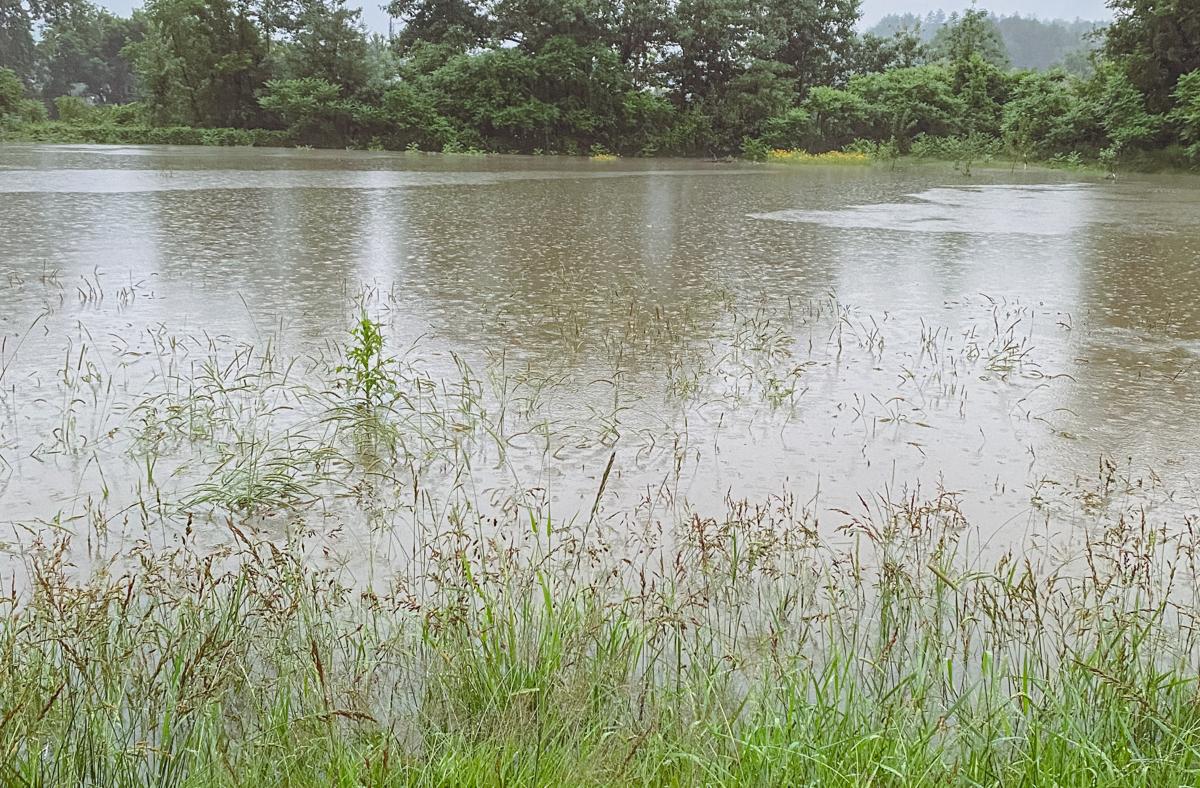 Flooded field