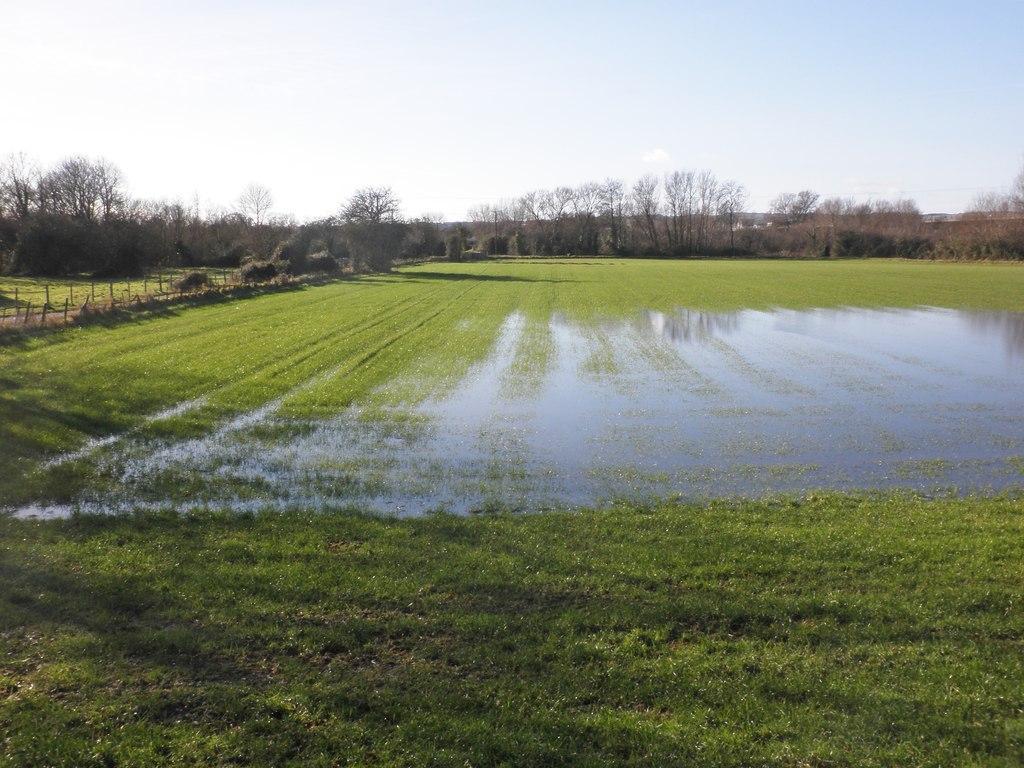 Flooded field
