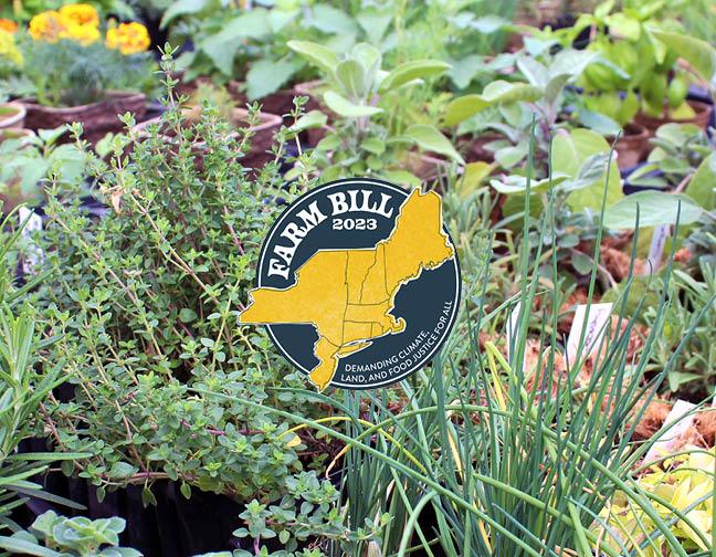 Farm Bill icon centered over plants at New Leaf Organics