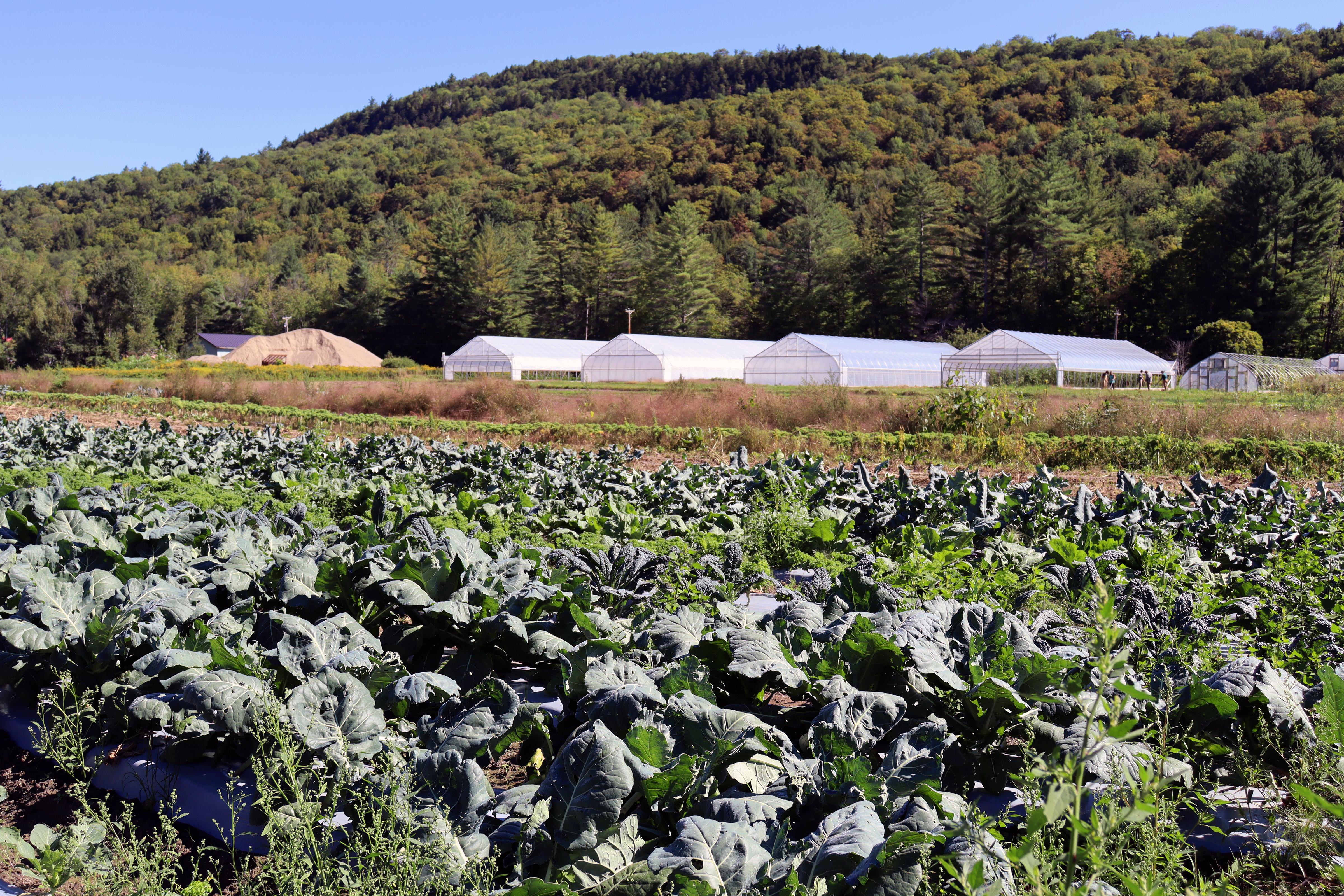 Organic farm fields and high tunnels at Old Road Farm in Granville, VT
