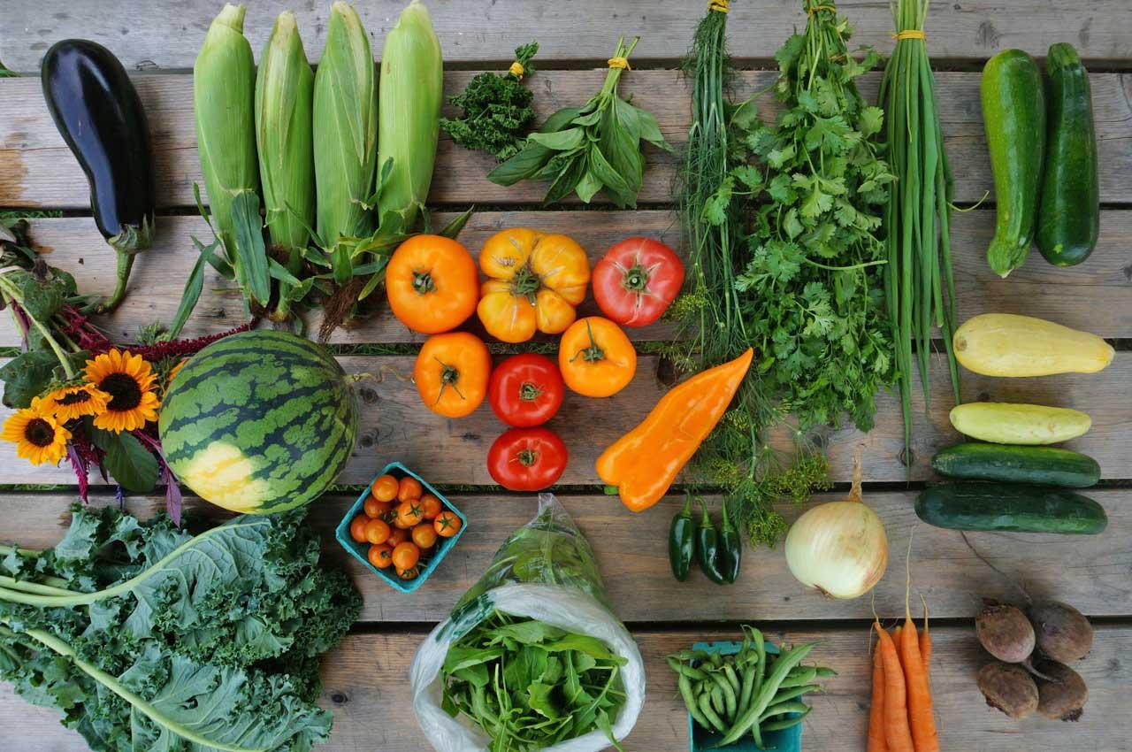 Veggies and flowers from an Intervale Community Farm CSA share spread out on a picnic table