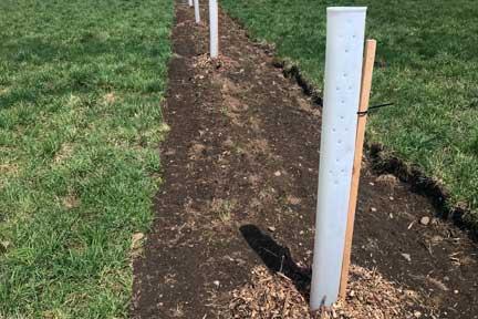 agroforestry plantings on a farm