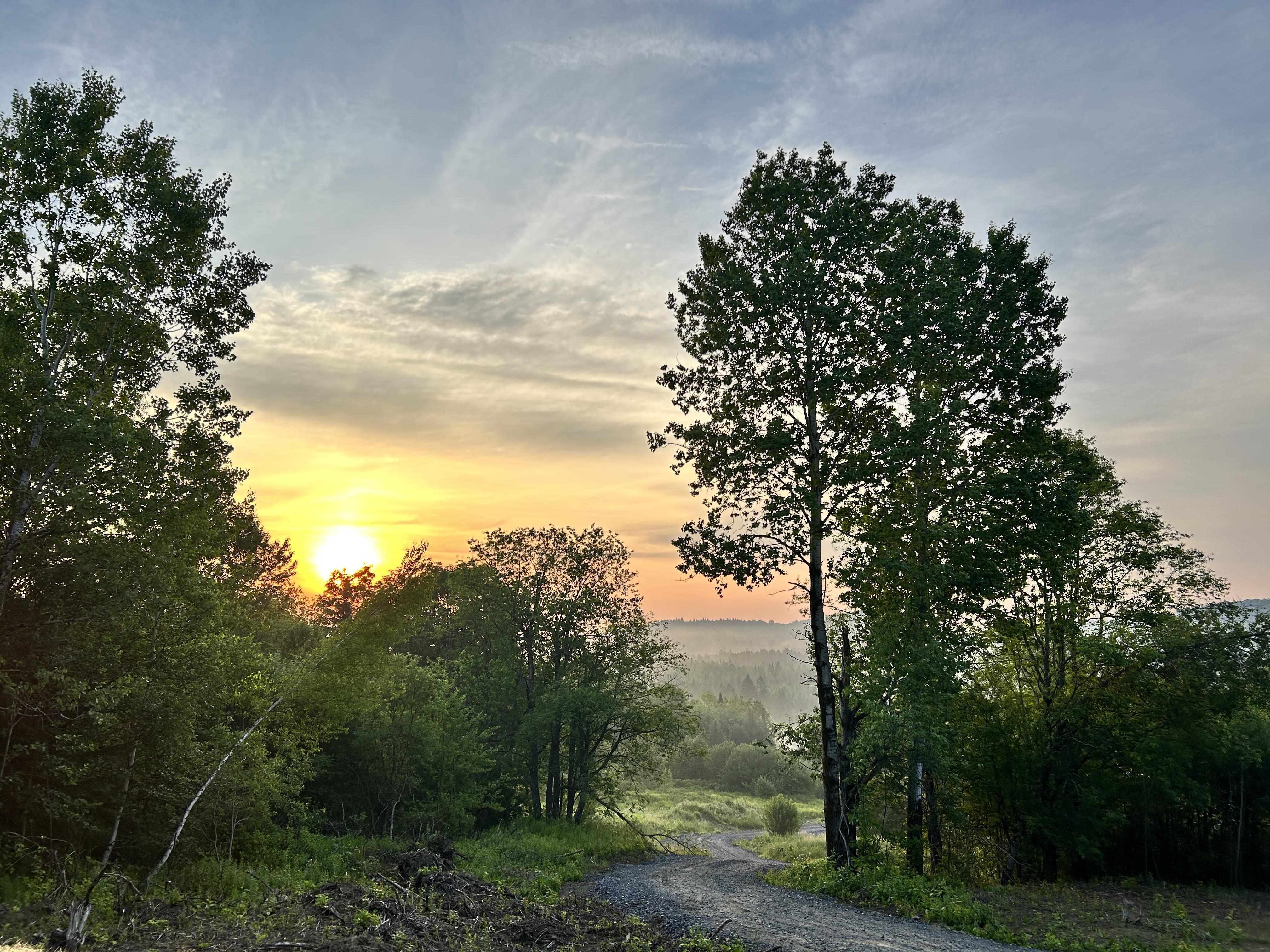 sunrise view by the yurt / our pups favorite perch