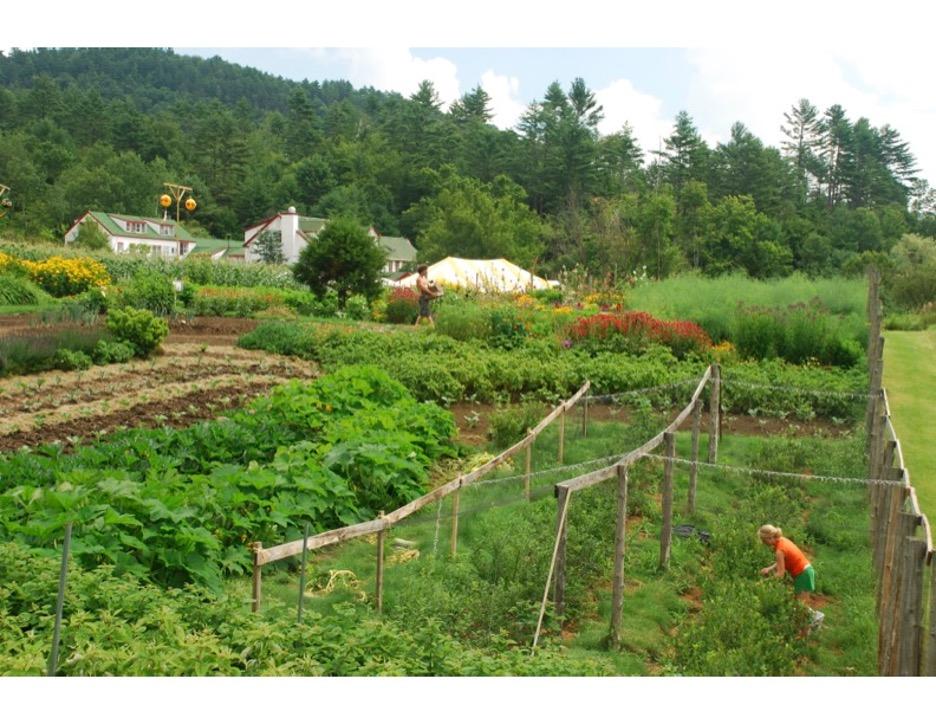 Karme Choling's garden in full swing