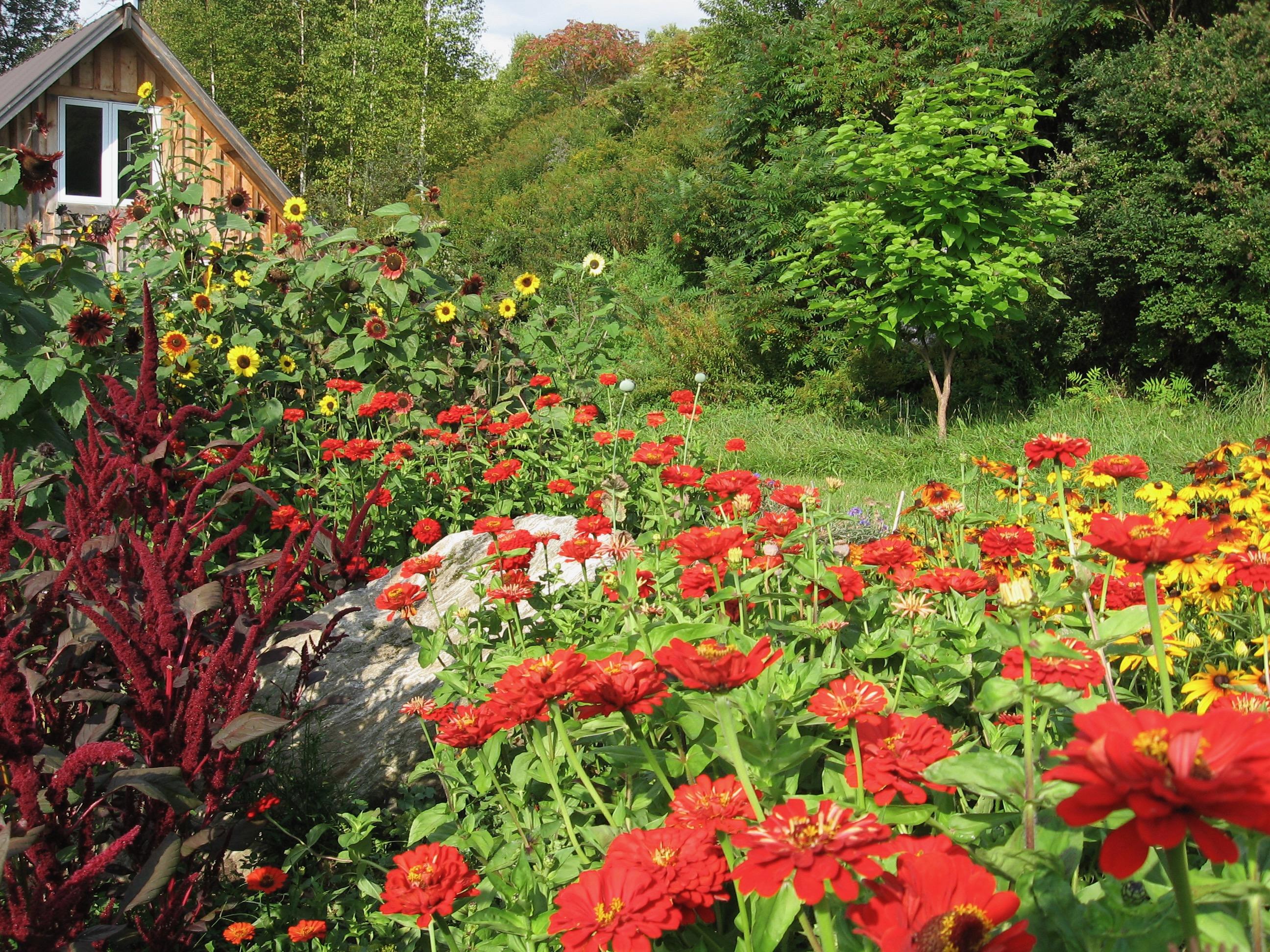 garden cabin