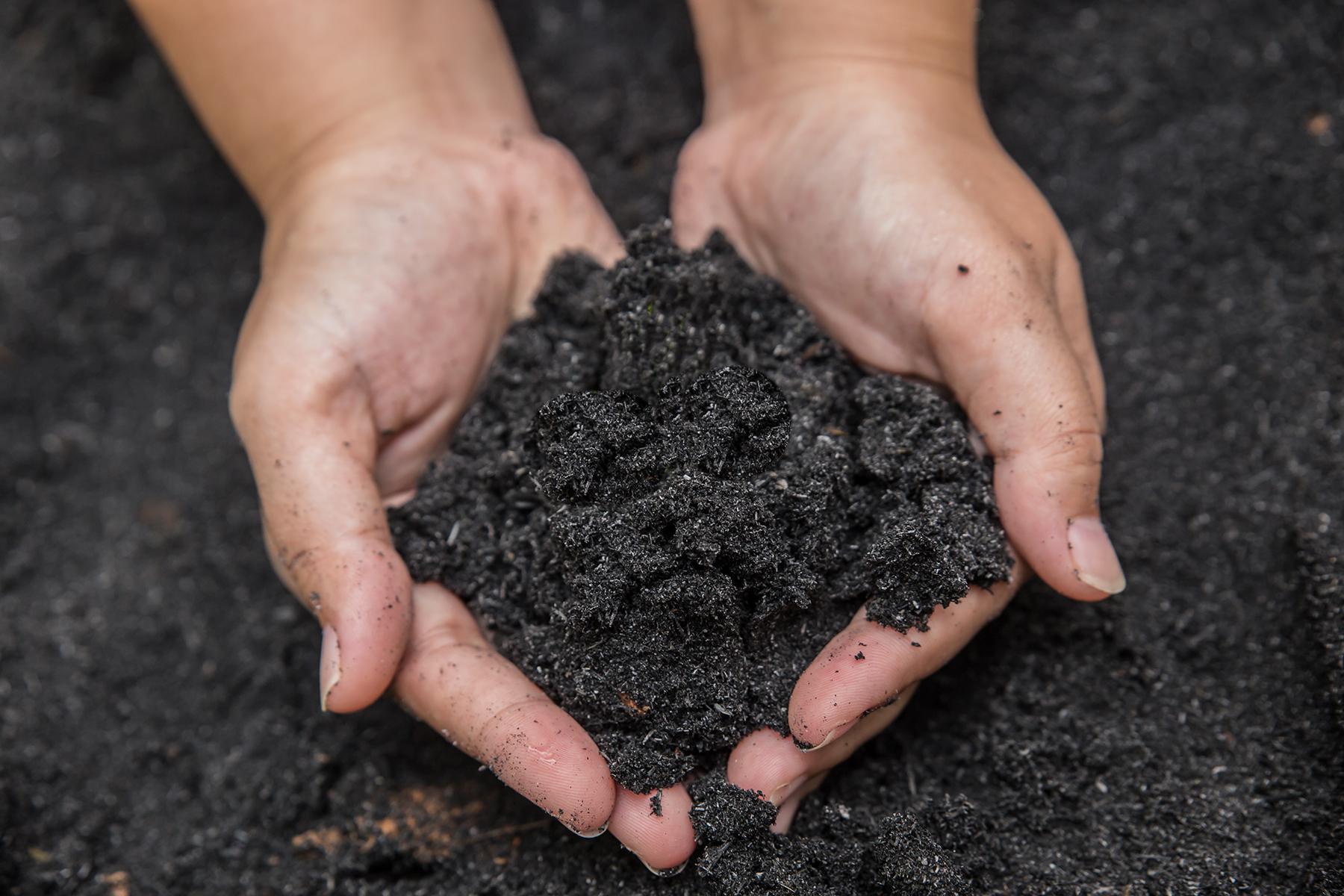 two hands cupping a handful of rich dark compost