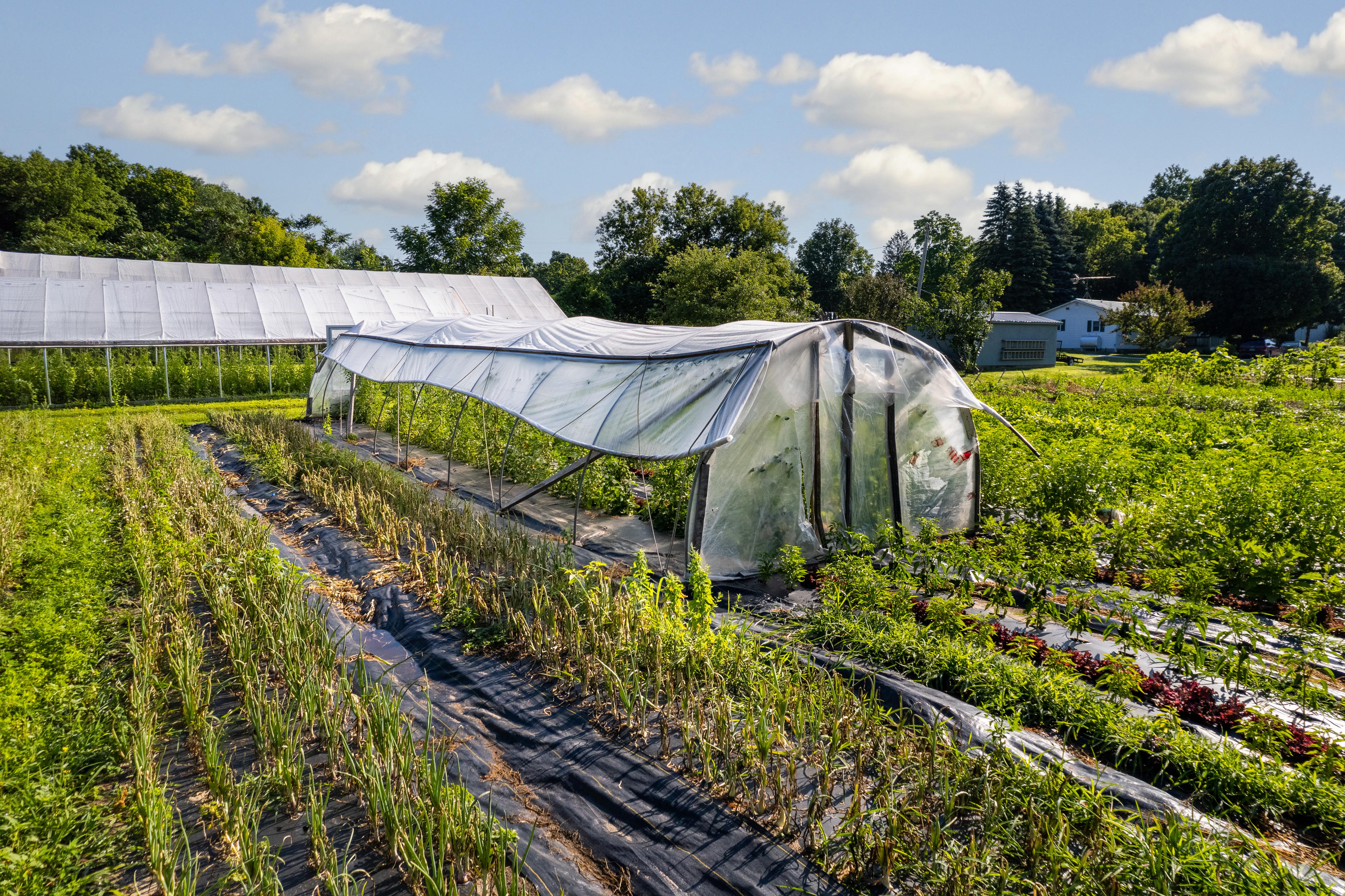 Hoop house and green house surrounded by crops