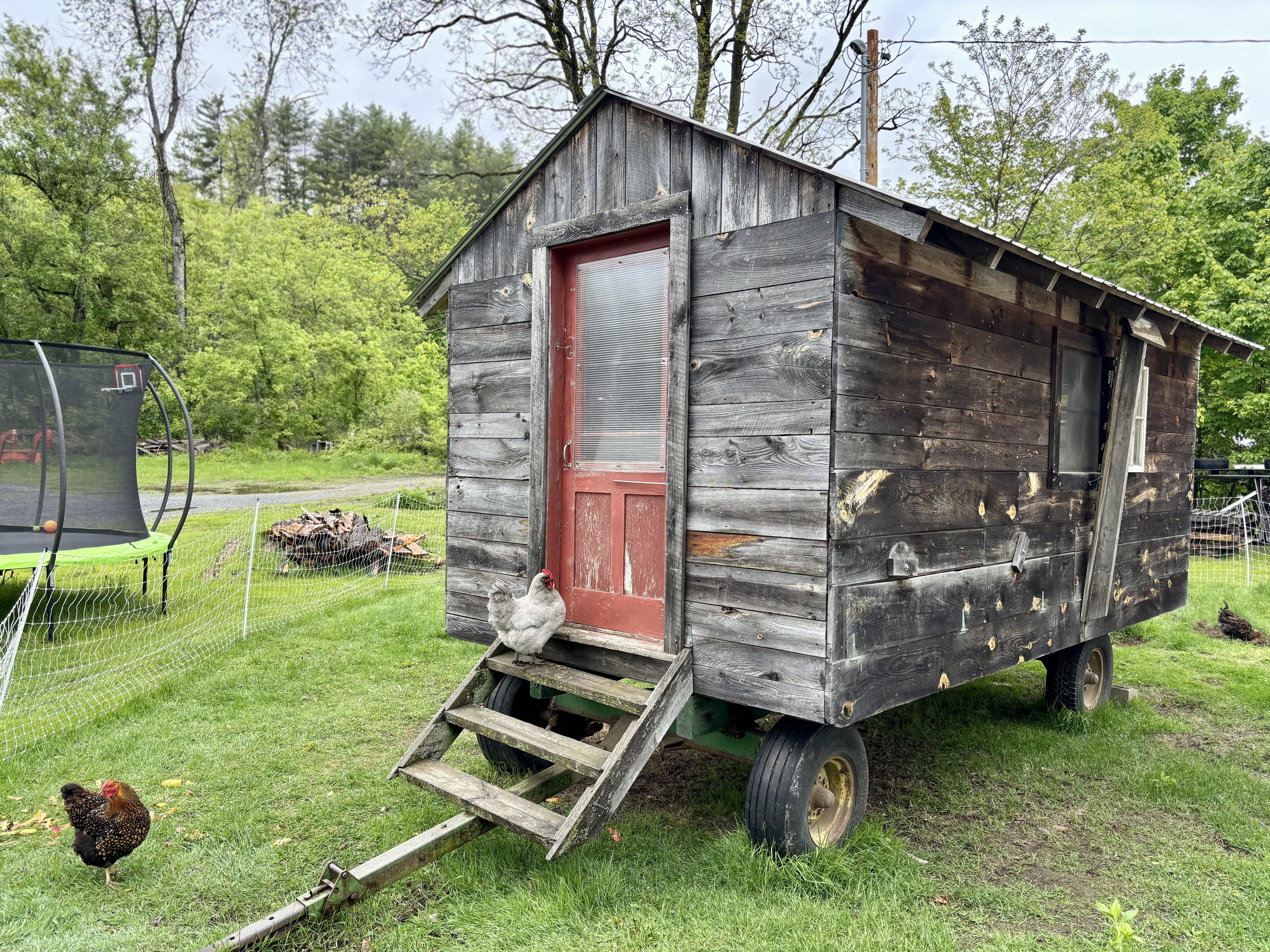 Mobile chicken coop