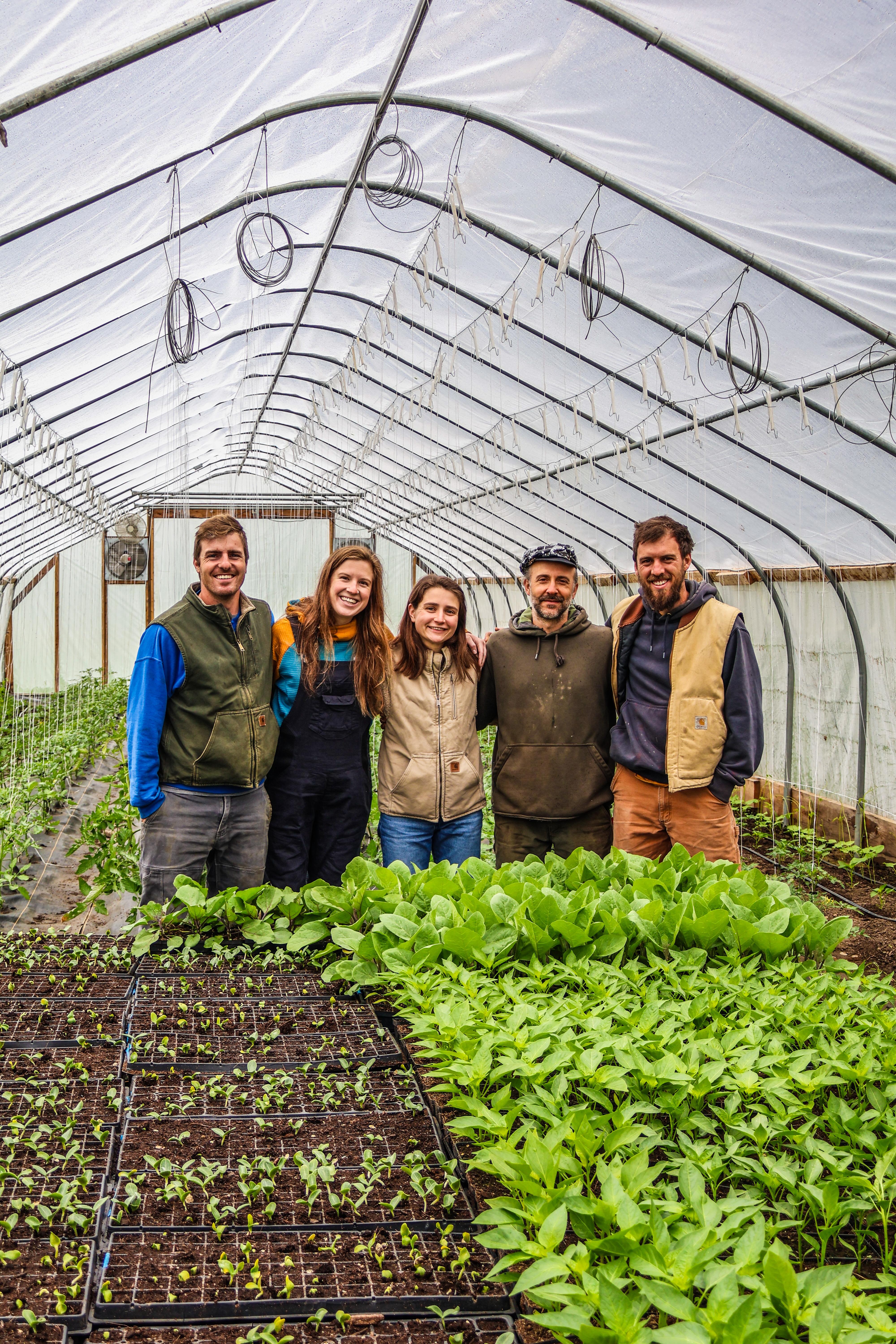 Farm Upstream farmers Jake, Cory, Tucker, Spencer, and Jacqueline in their high tunnel full of spring greens