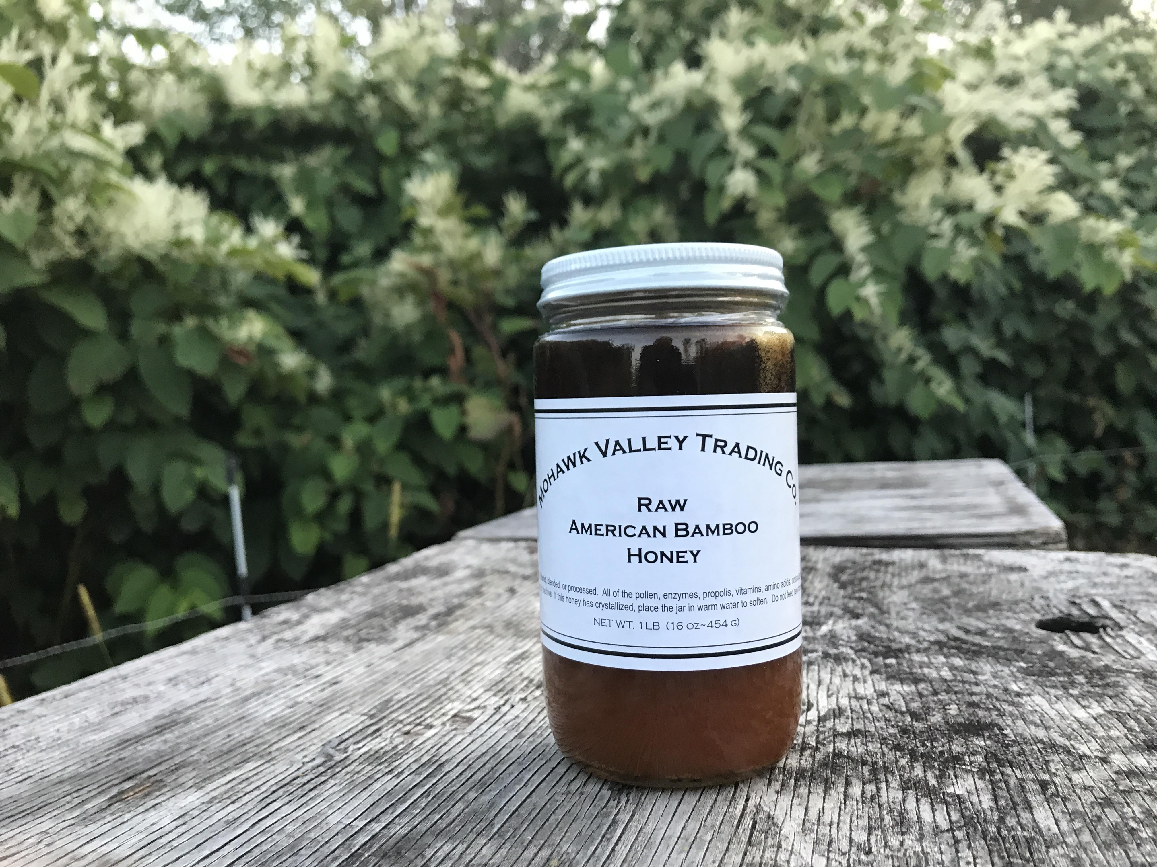 Raw American Bamboo Honey