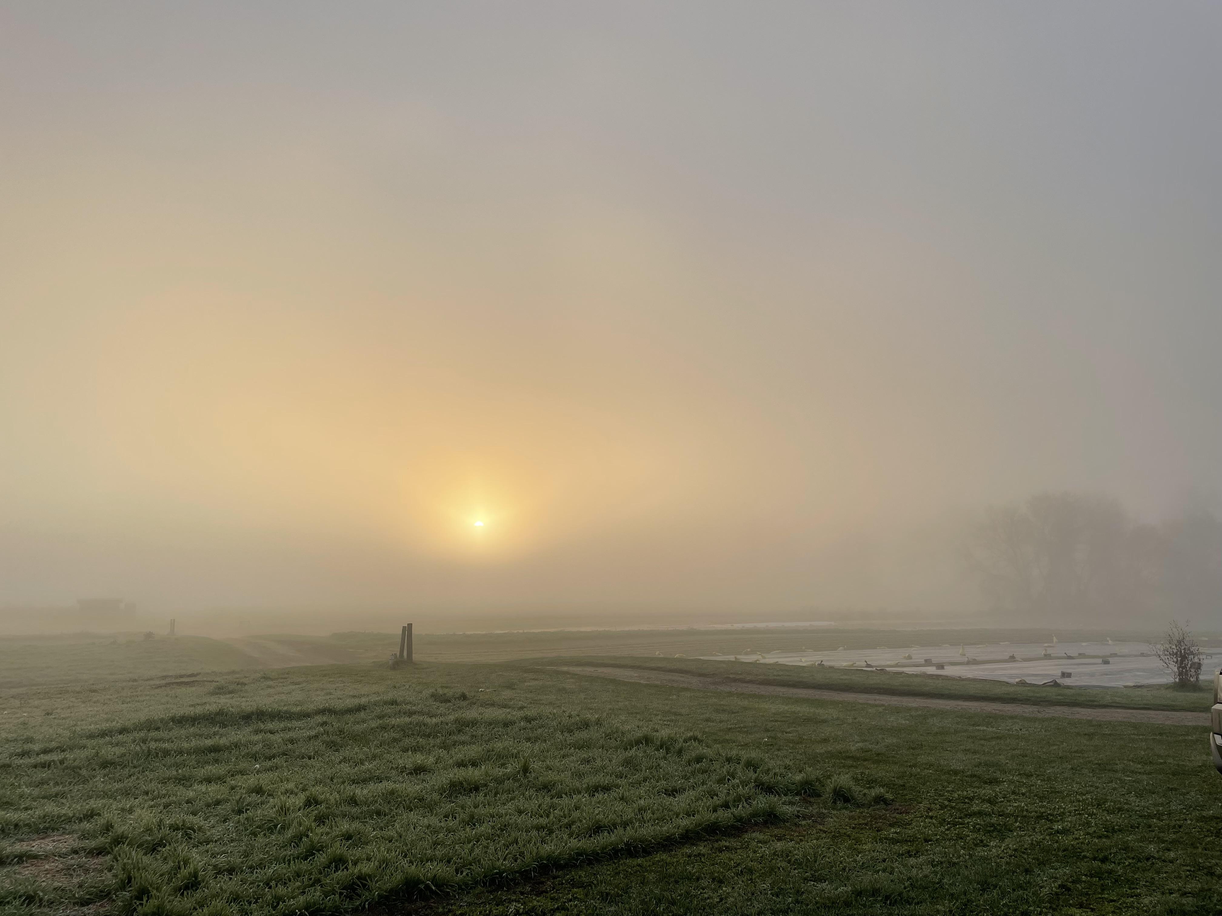 A beautiful Vermont Farm