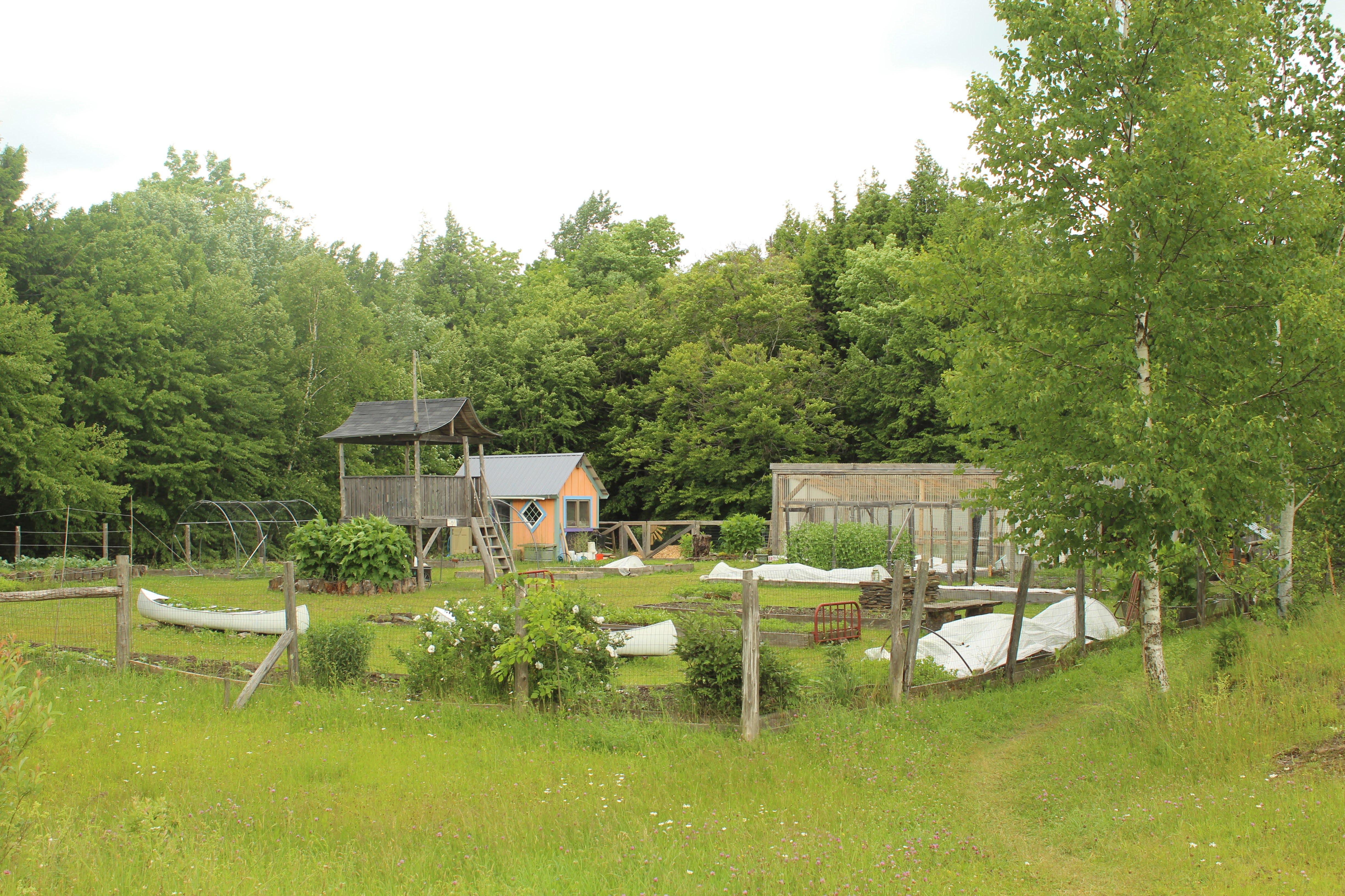 a garden with greenhouse and treehouse