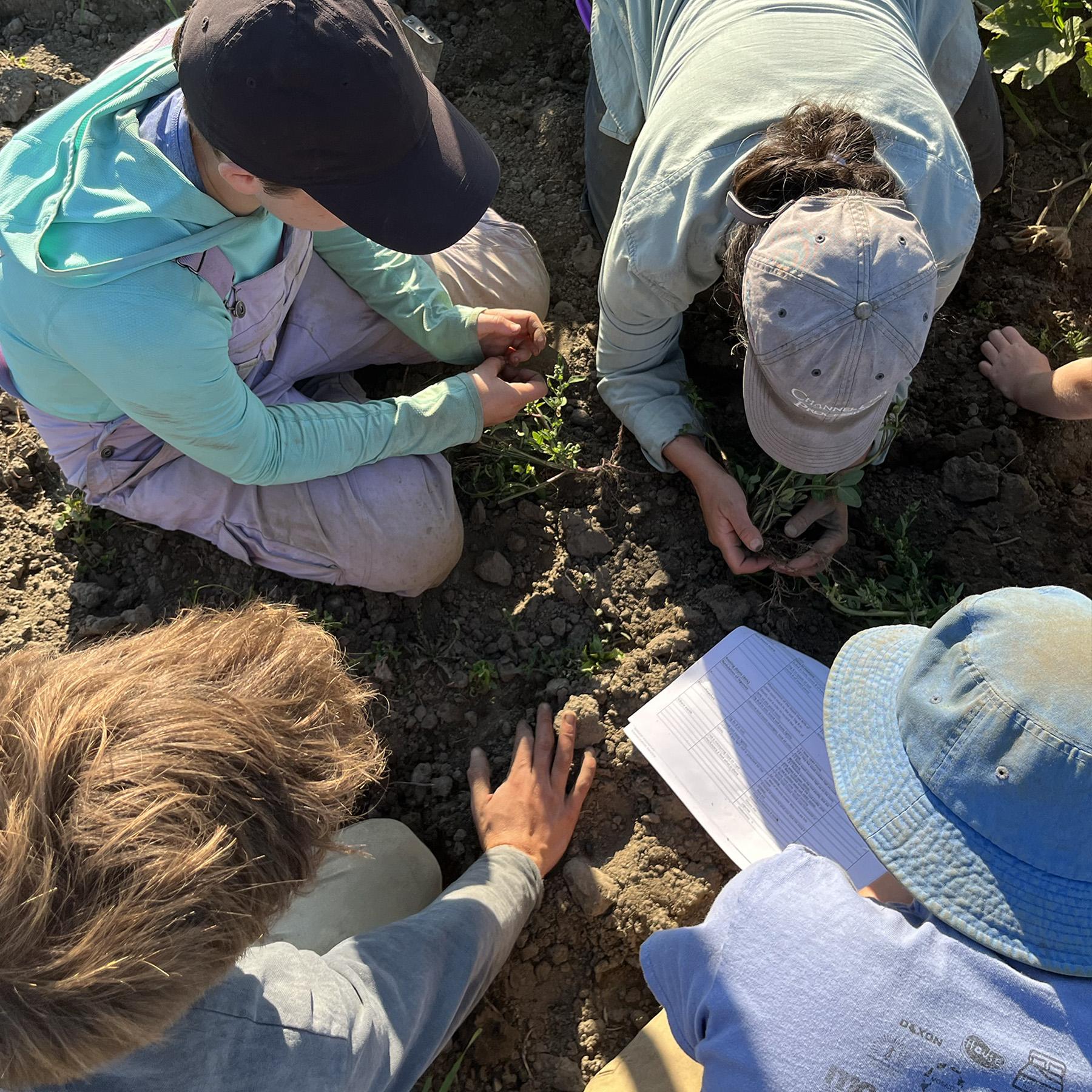 Farmers assess soil together as part of the Jack Lazor Soil Stewards gathering at Blackbird Organics