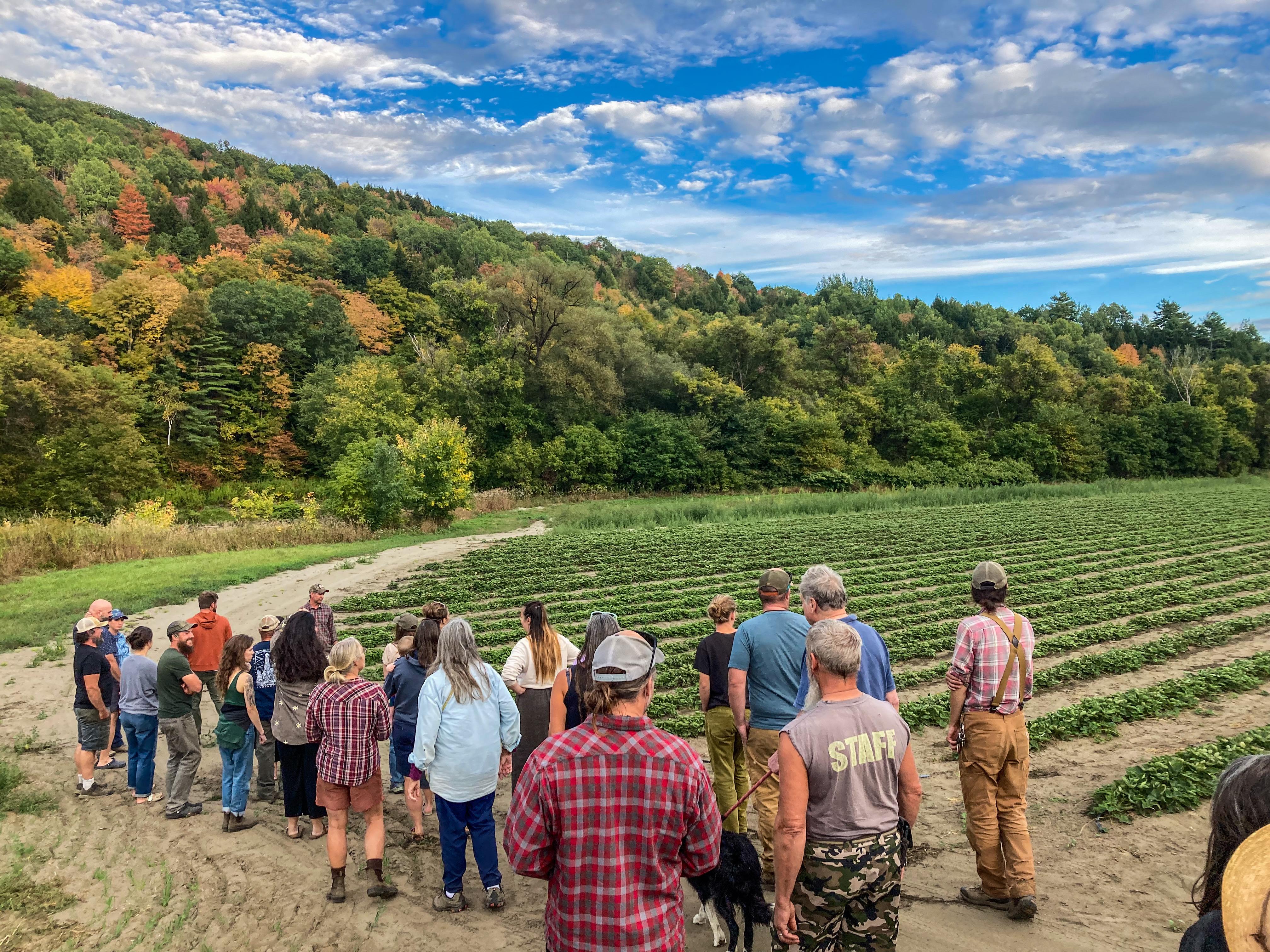 Participants in the Northeast Kingdom Resilience Project gathered at Joe's Brook Farm for a tour in the fall on 2025 and are pictured walking among the veggie fields with a forested hedgerow in the background 