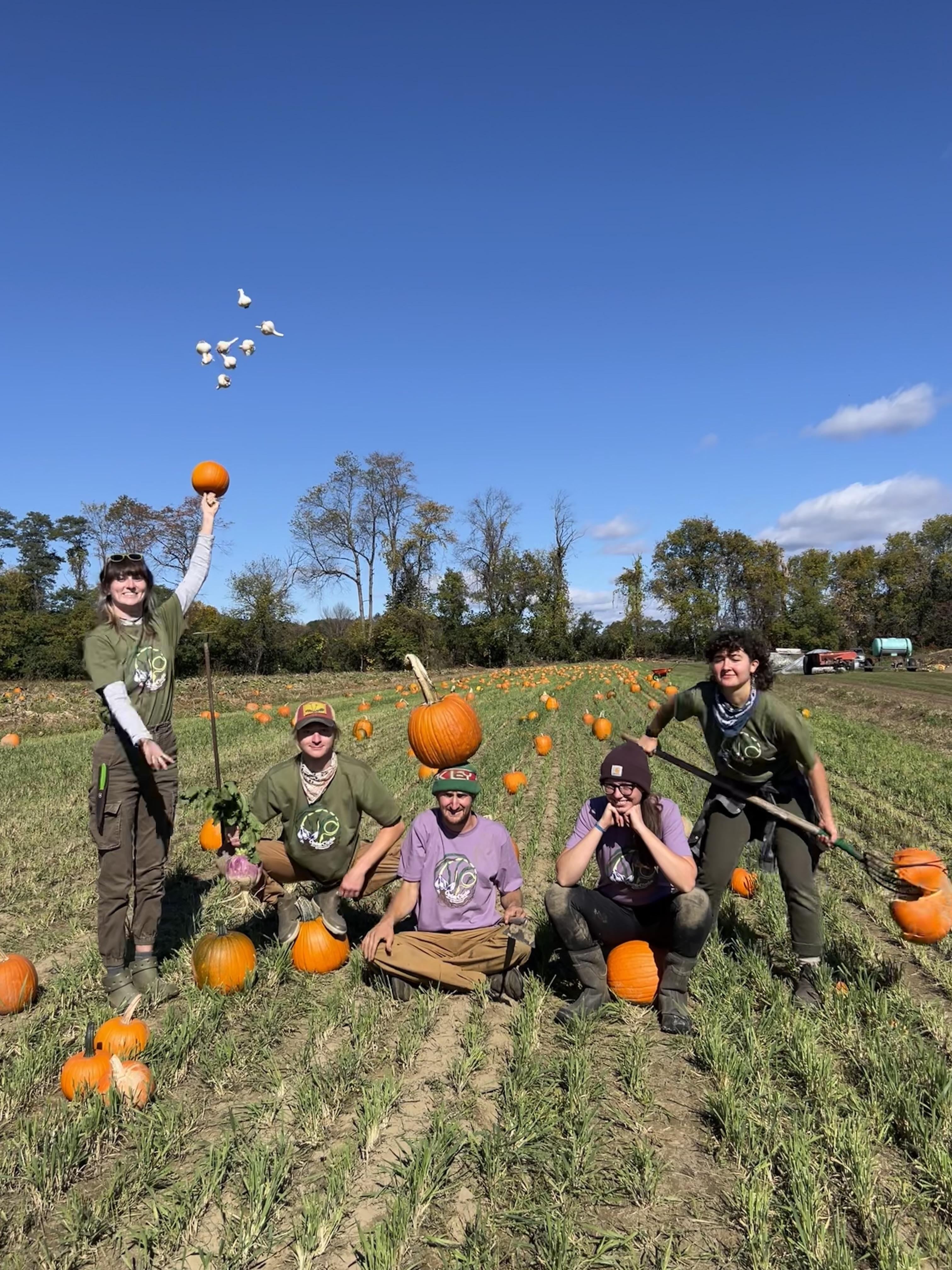 Farm crew with pumpkins