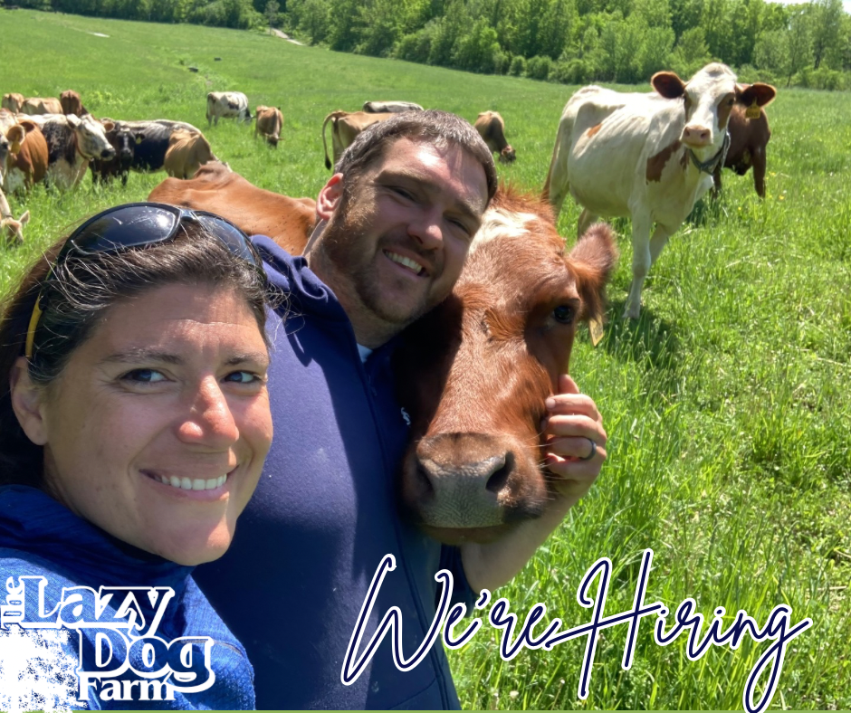 We are Hiring at the Lazy Dog Farm