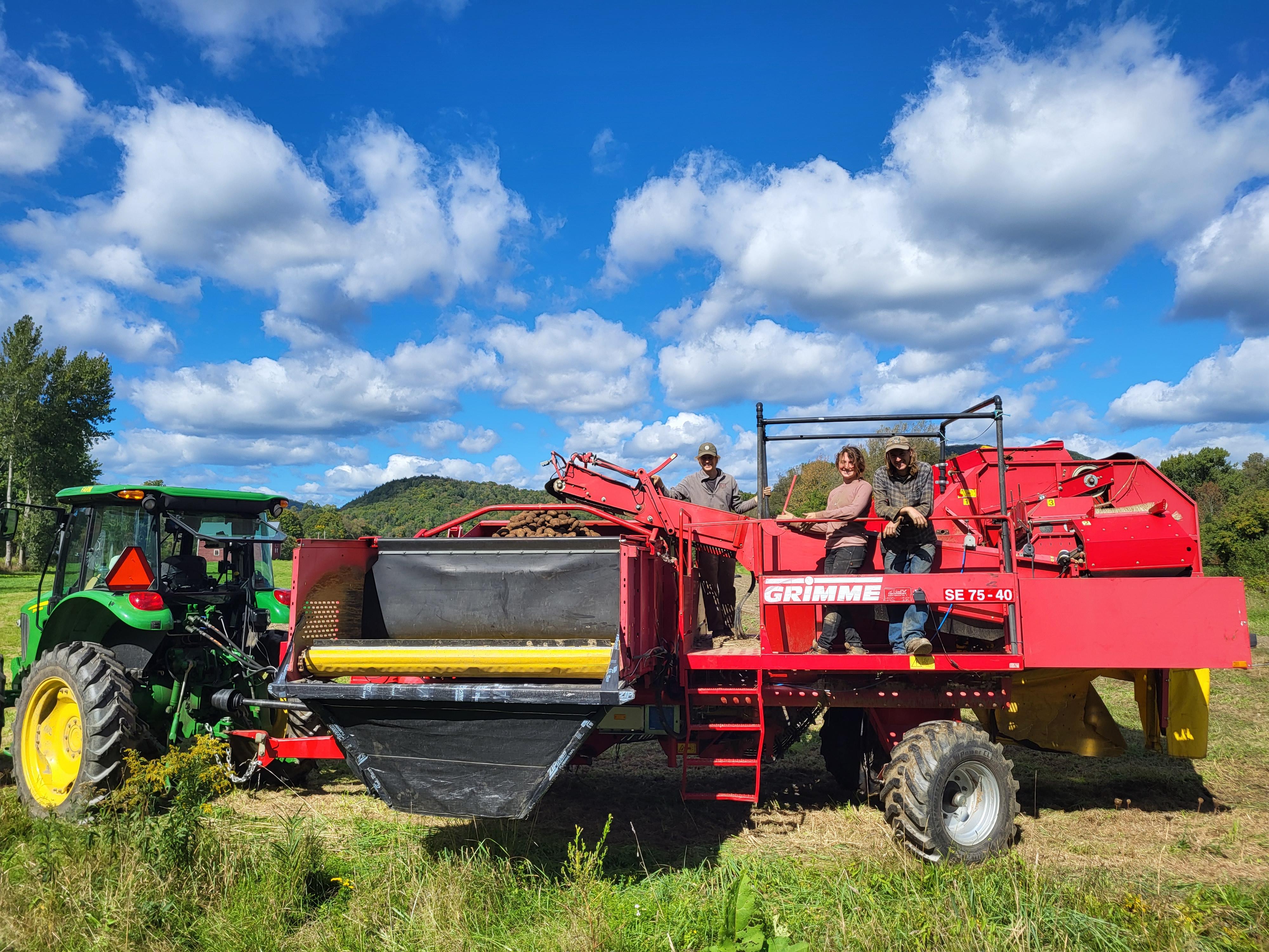Burnt Rock farm potato harvest
