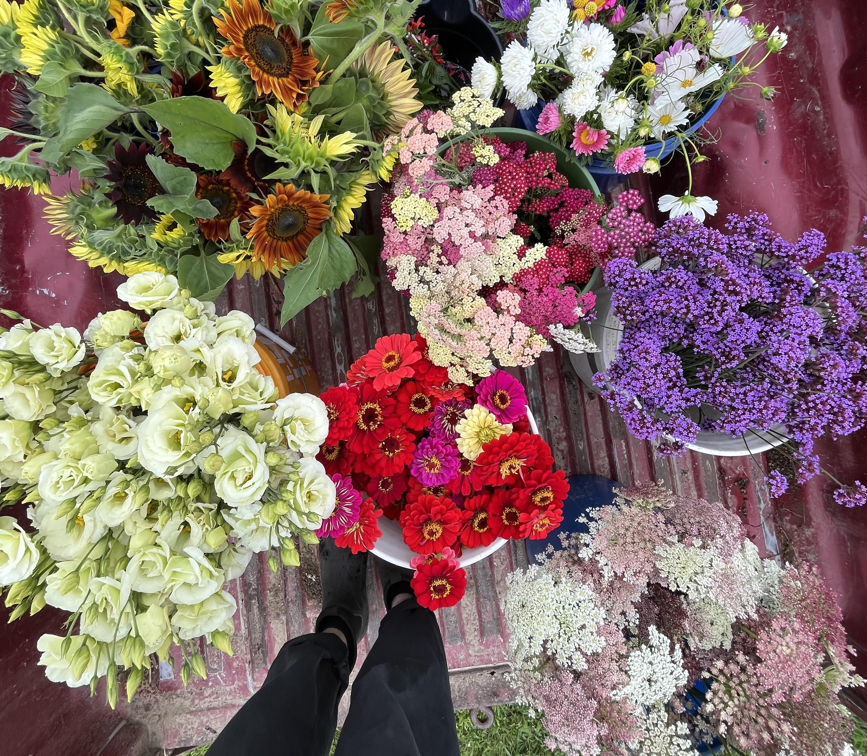 flower buckets in truck bed
