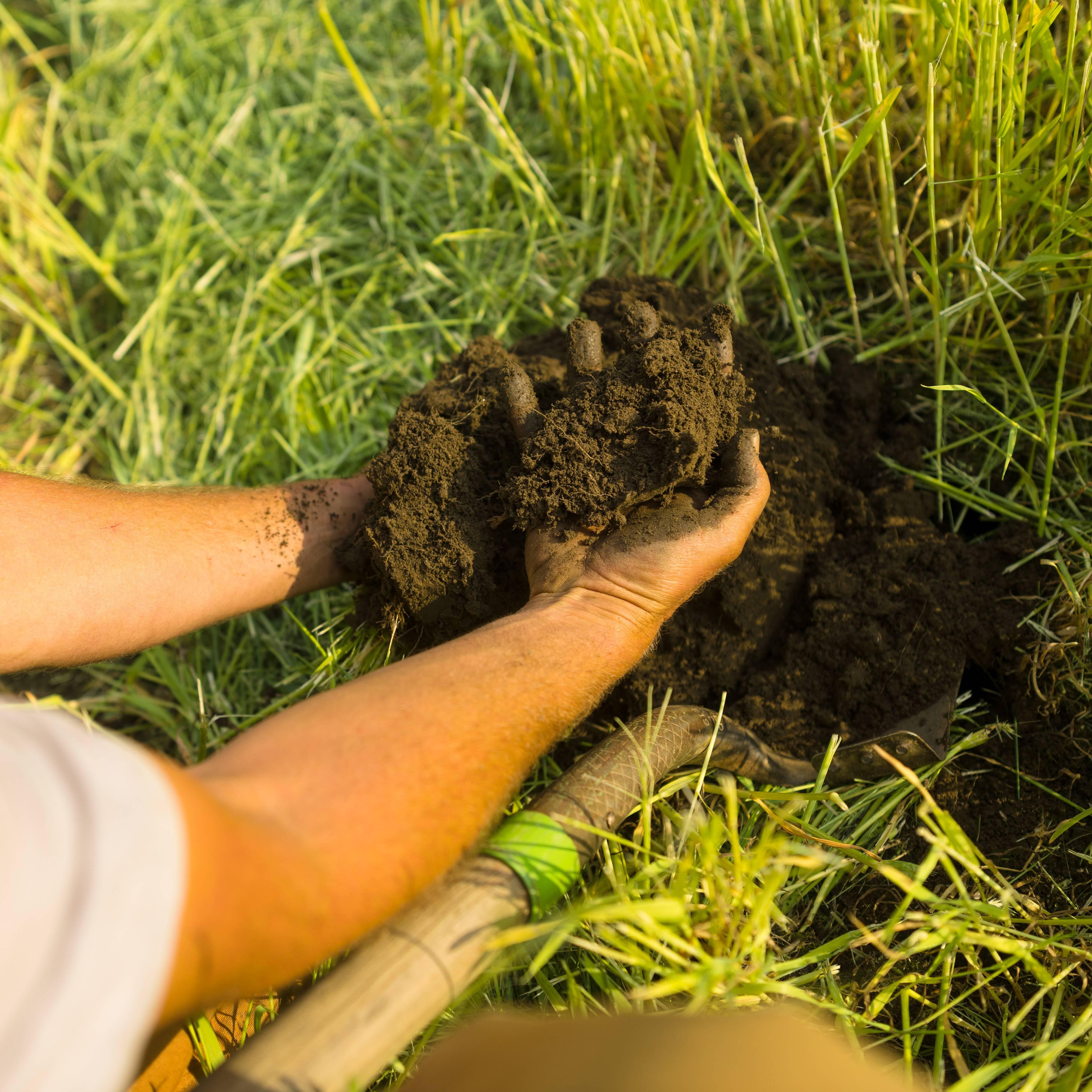 A farmers hands in fresh, rich soil