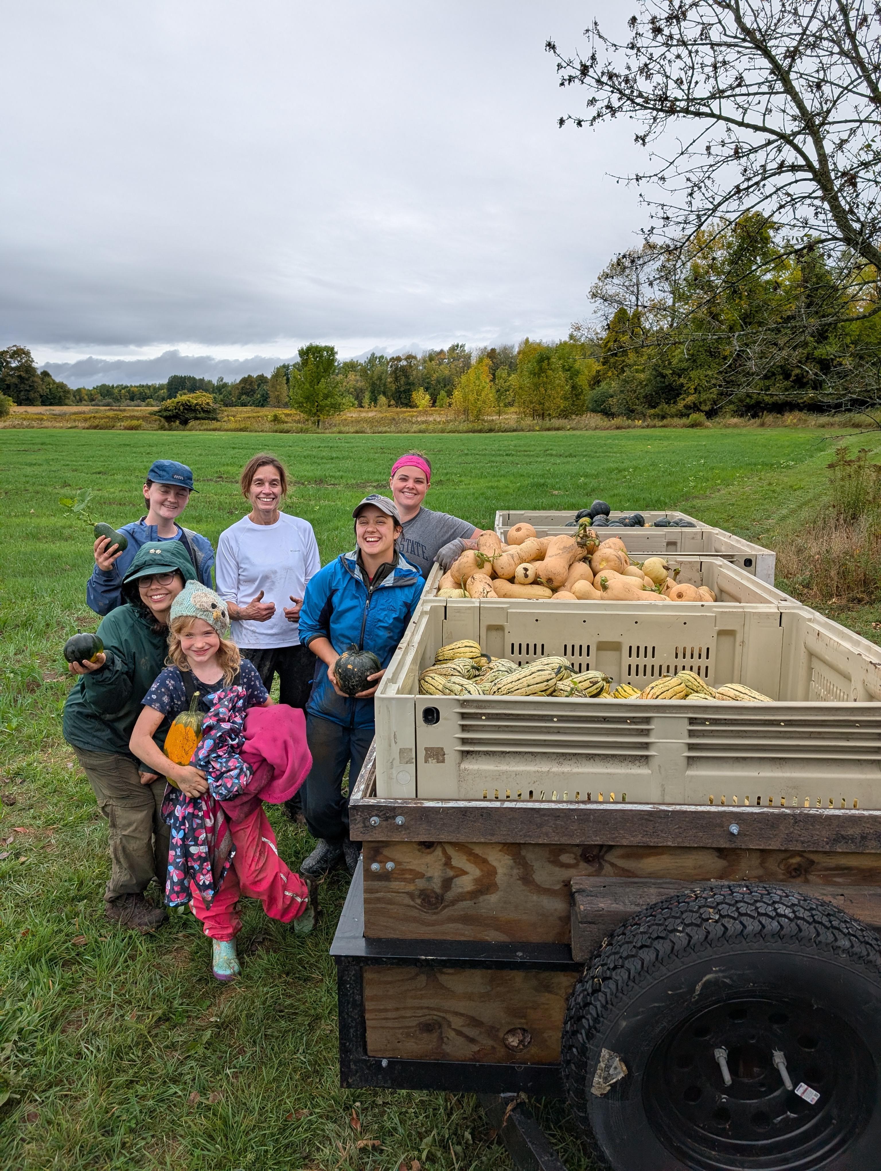 Farm workers stand in a field with their harvested squash in a trailer next to them