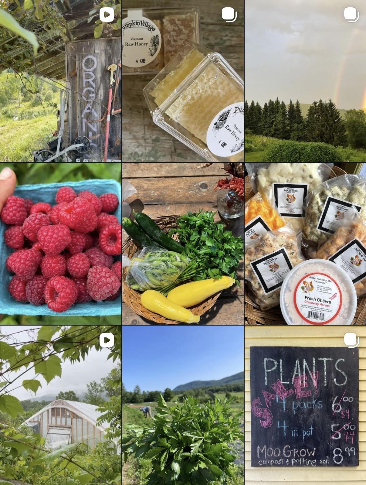 Farm Socials for Small Veggie Farm