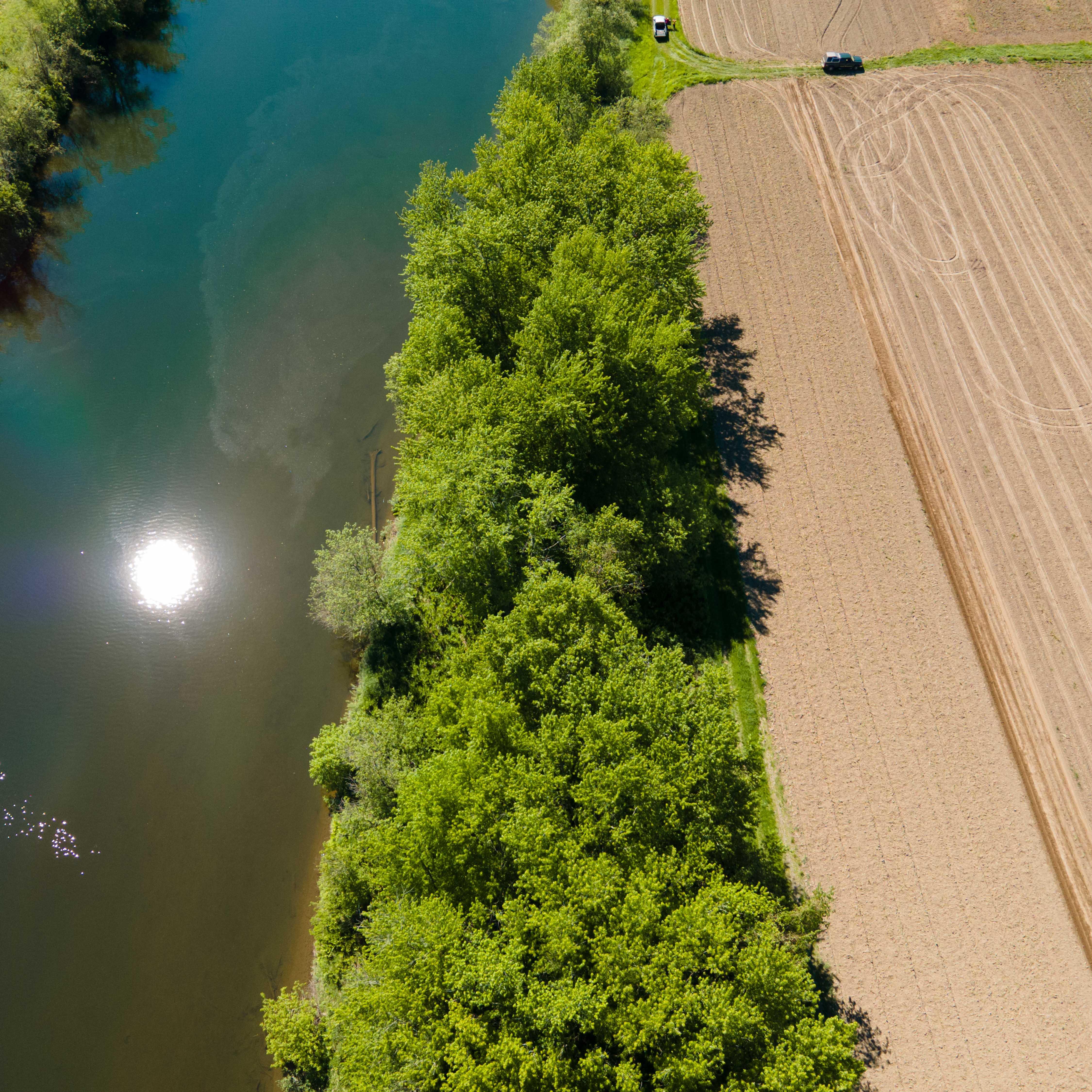 An aerial view of the farm fields at River Berry Farm with a robust riparian buffer between the edge of the field and the nearby river
