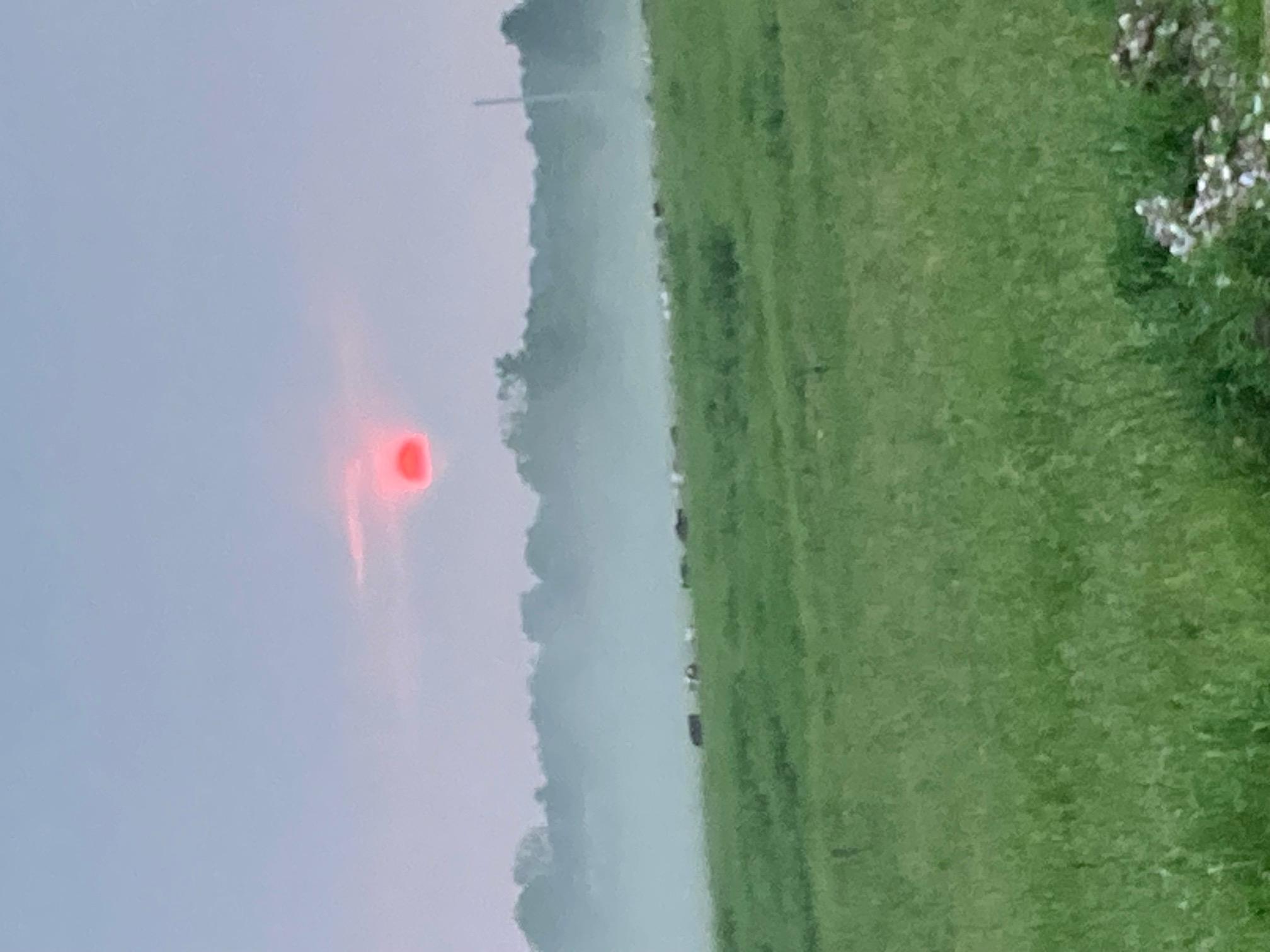 misty view