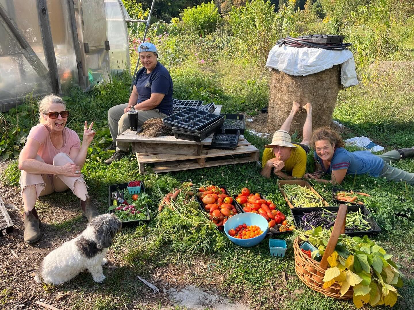 Farmers from the Living Tree Alliance are seen in a circle sitting or laying around a colorful array of freshly harvested produce while smiling. There is also a dog in the photo and one of the farmers pictured is holding up a peace sign.