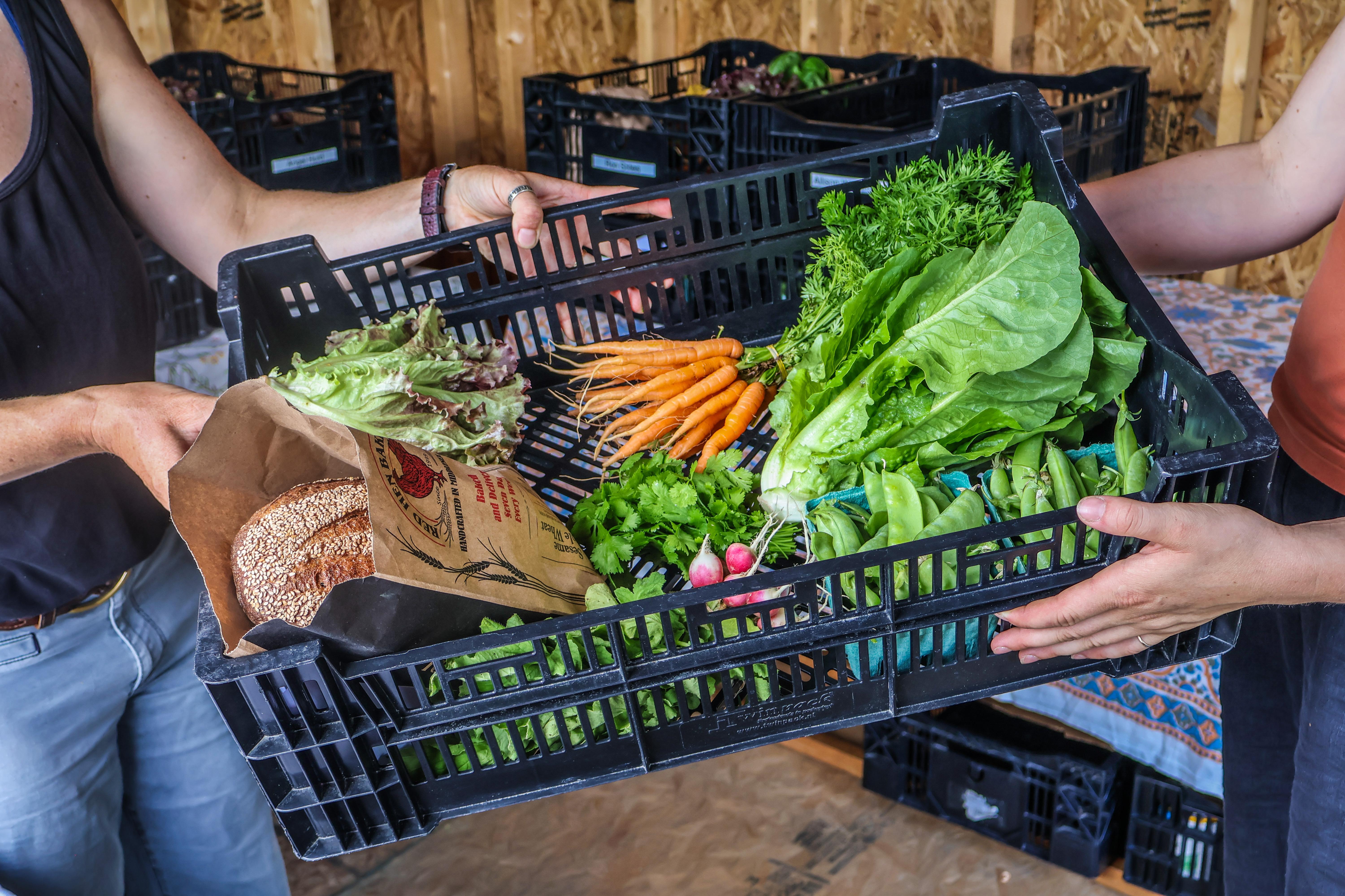 a farmer passes a black bin filled with a colorful array of produce to a CSA member