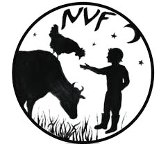 NVF logo